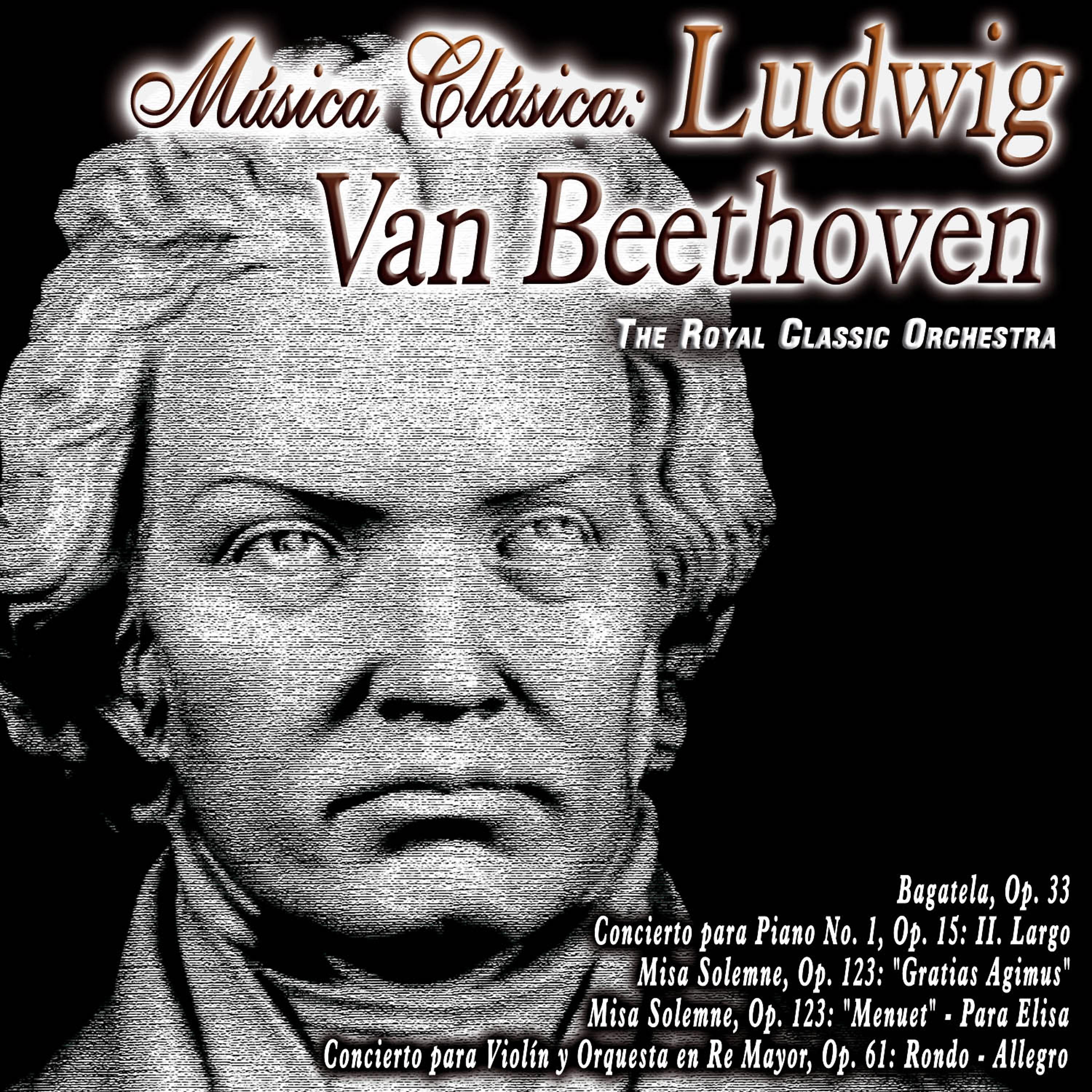 Постер альбома Música Clásica: Ludwig Van Beethoven