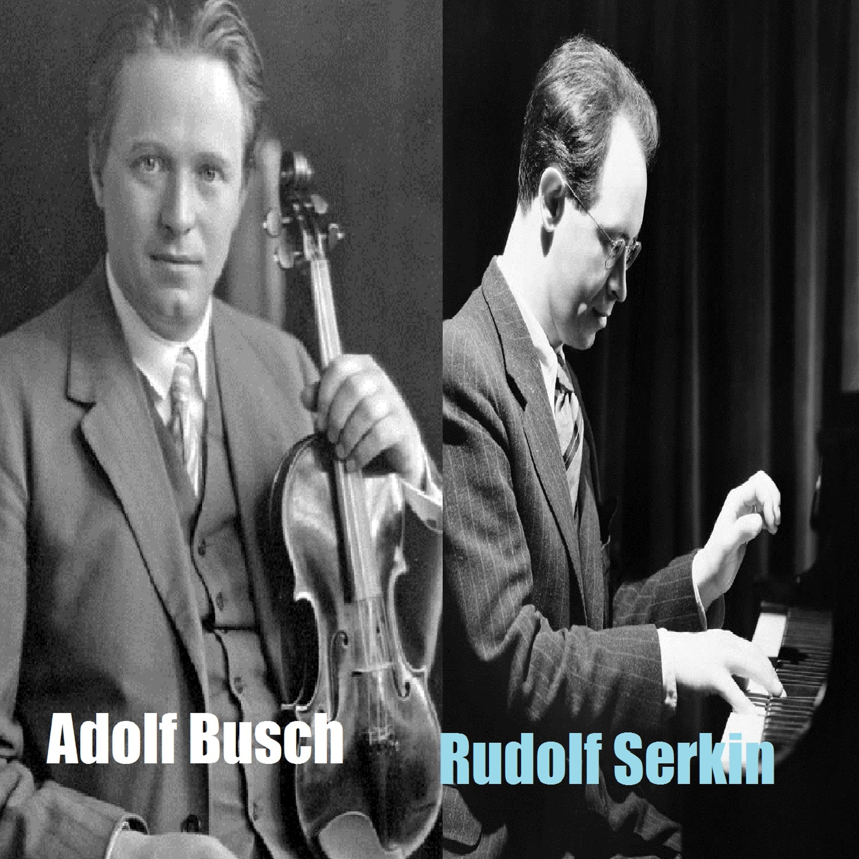 Постер альбома Adolf Busch - Rudolf Serkin