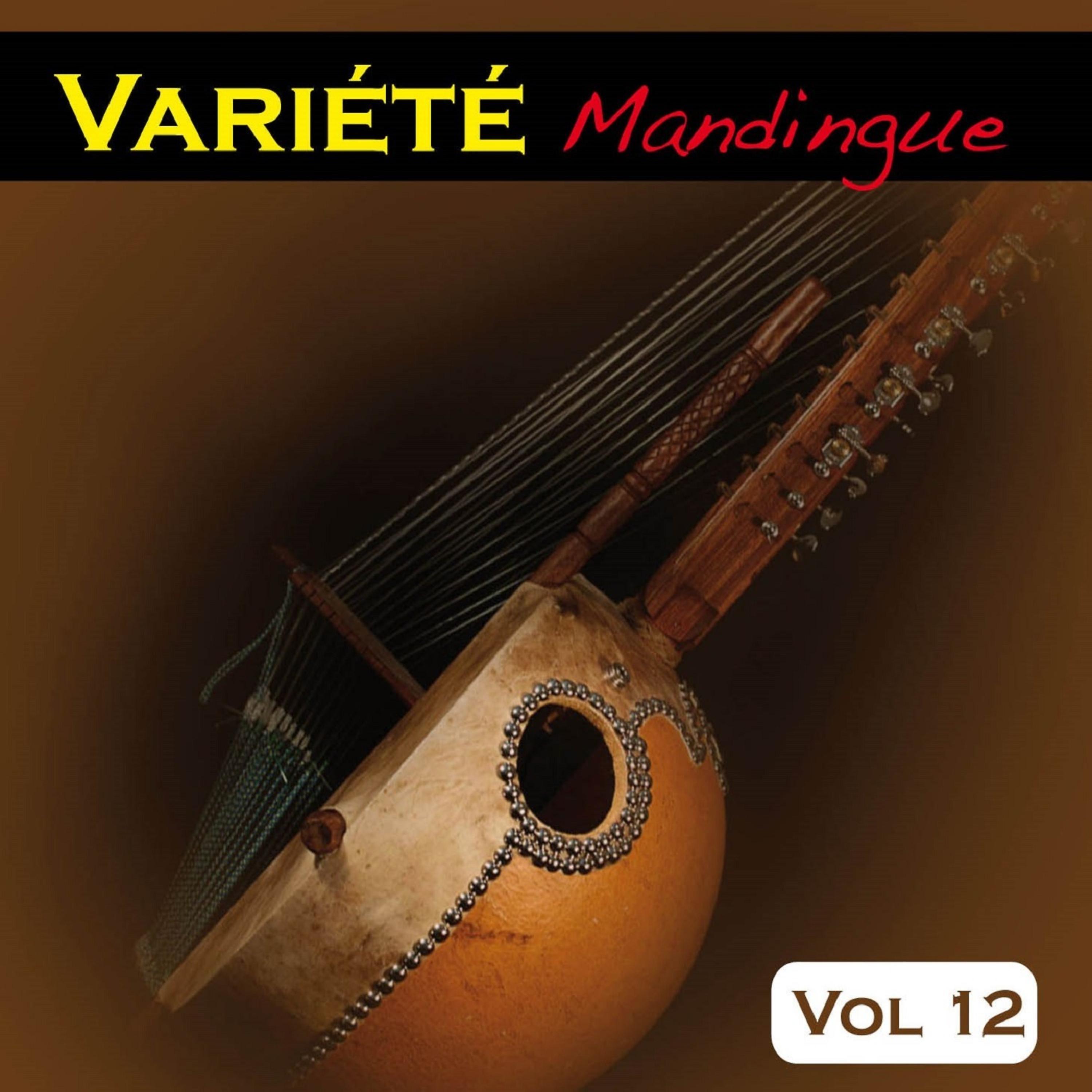 Постер альбома Variété Mandingue Vol. 12