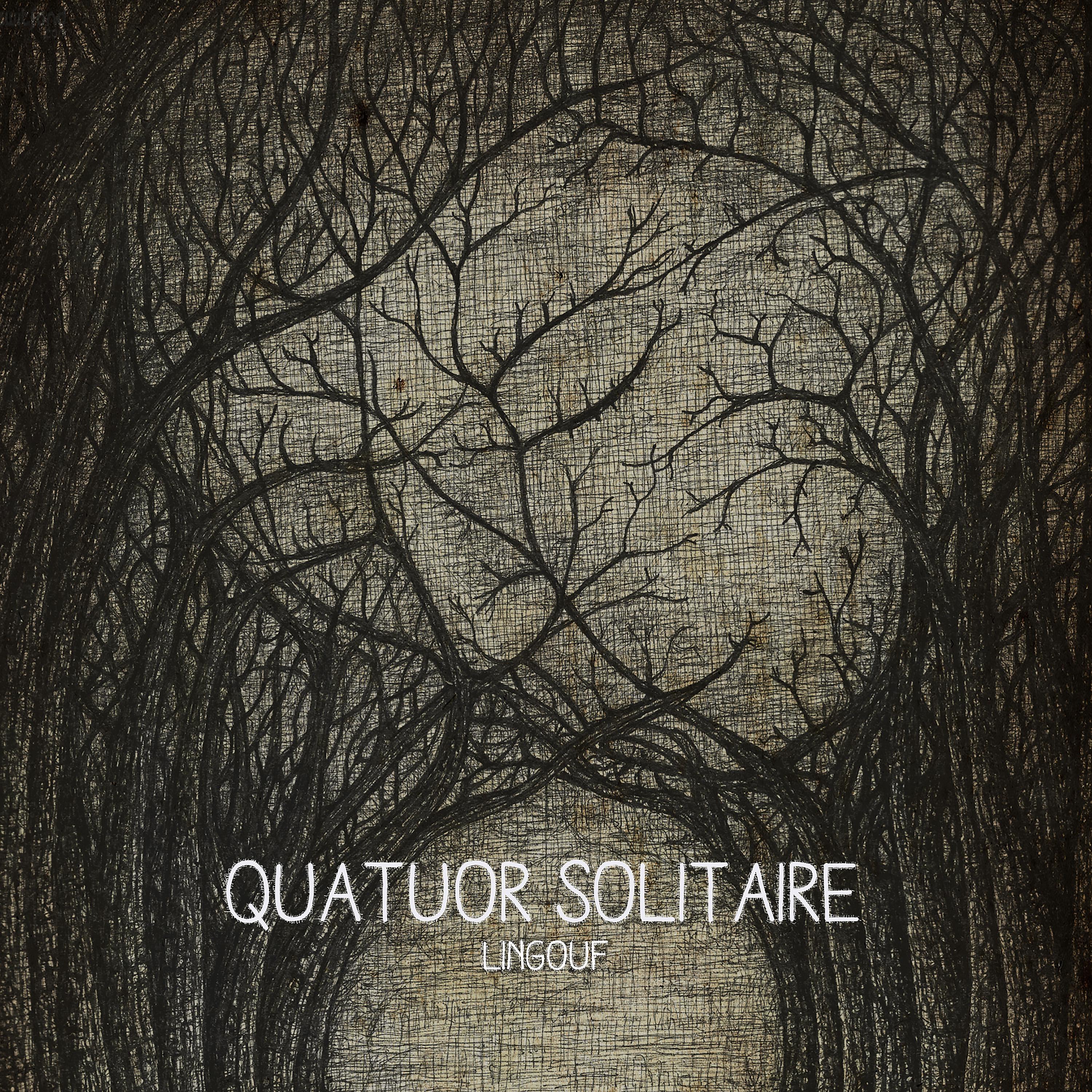 Постер альбома Quatuor solitaire