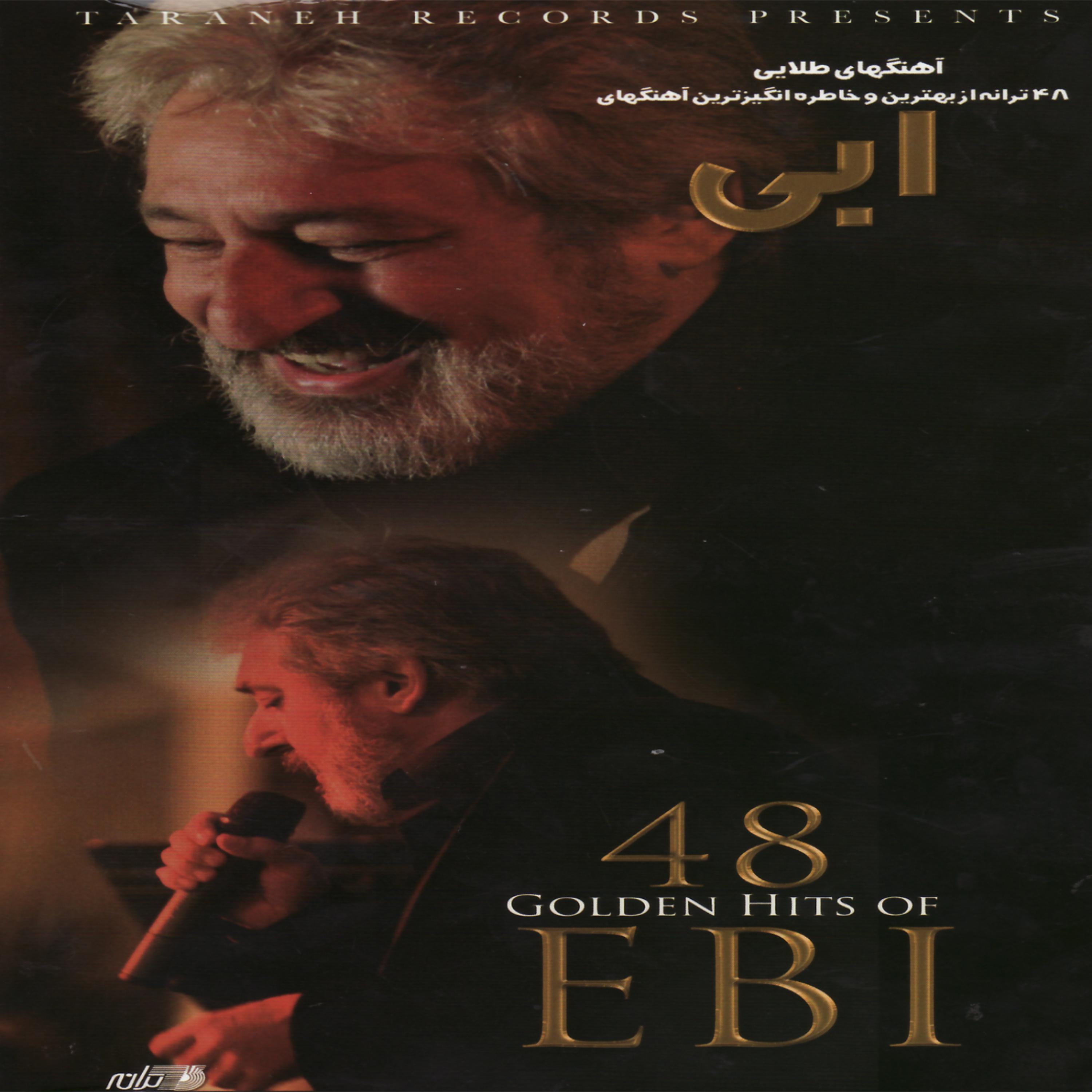 Постер альбома 48 Golden Hits of Ebi