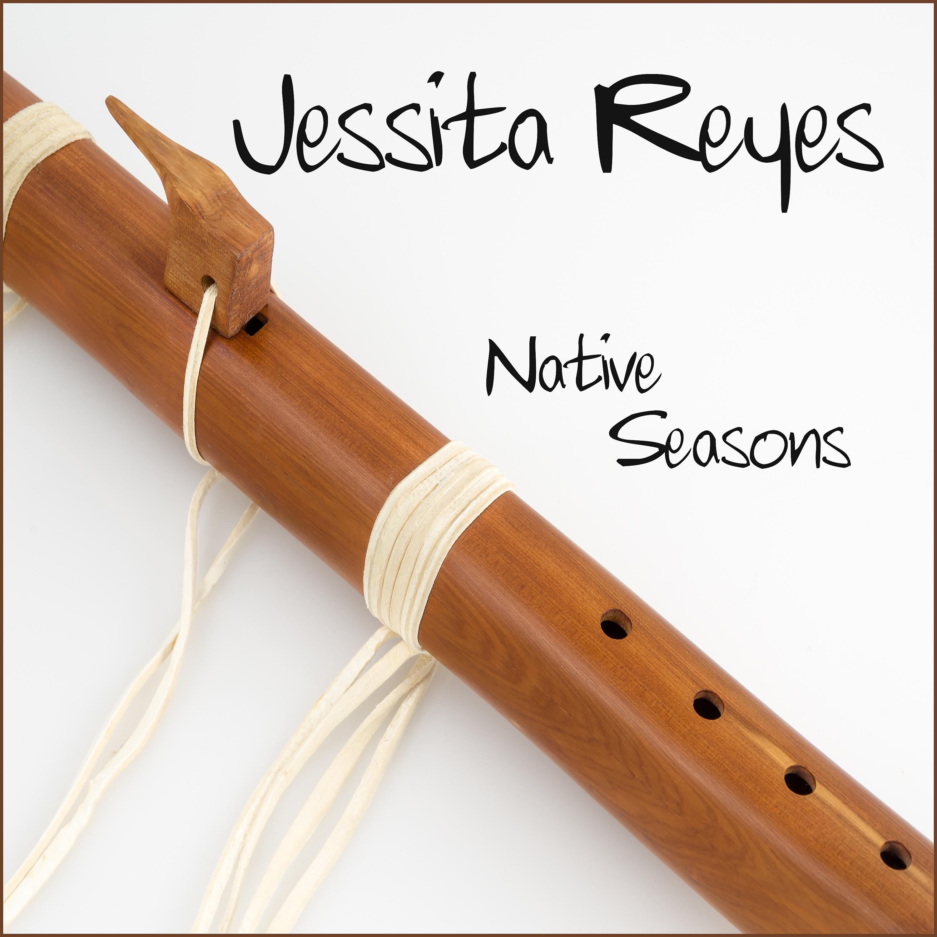 Постер альбома Native Seasons