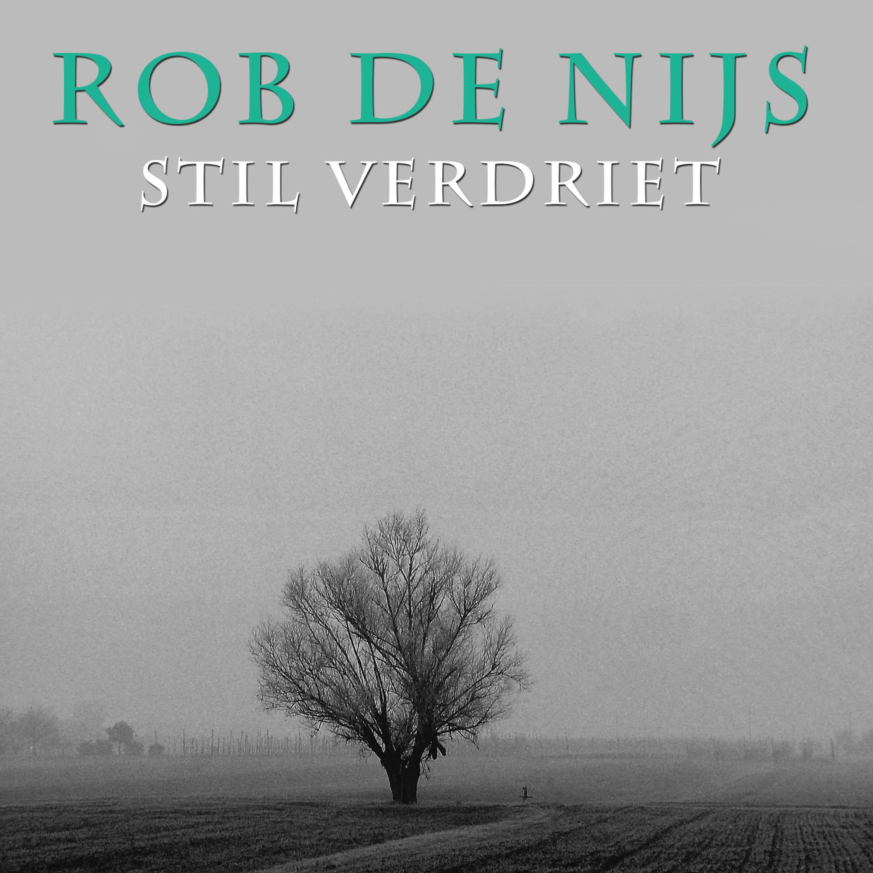Постер альбома Stil Verdriet