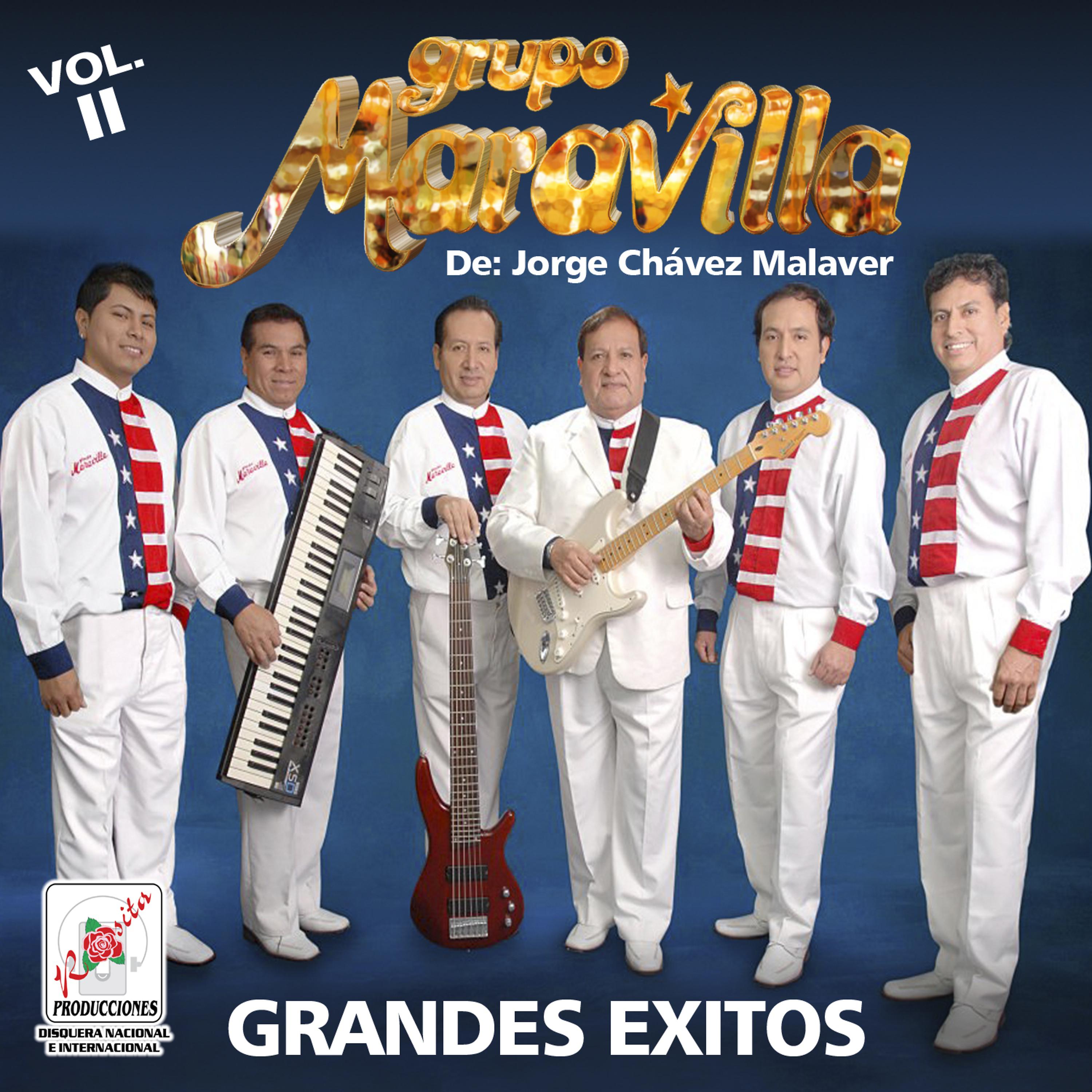 Постер альбома Grandes Exitos Vol. 2