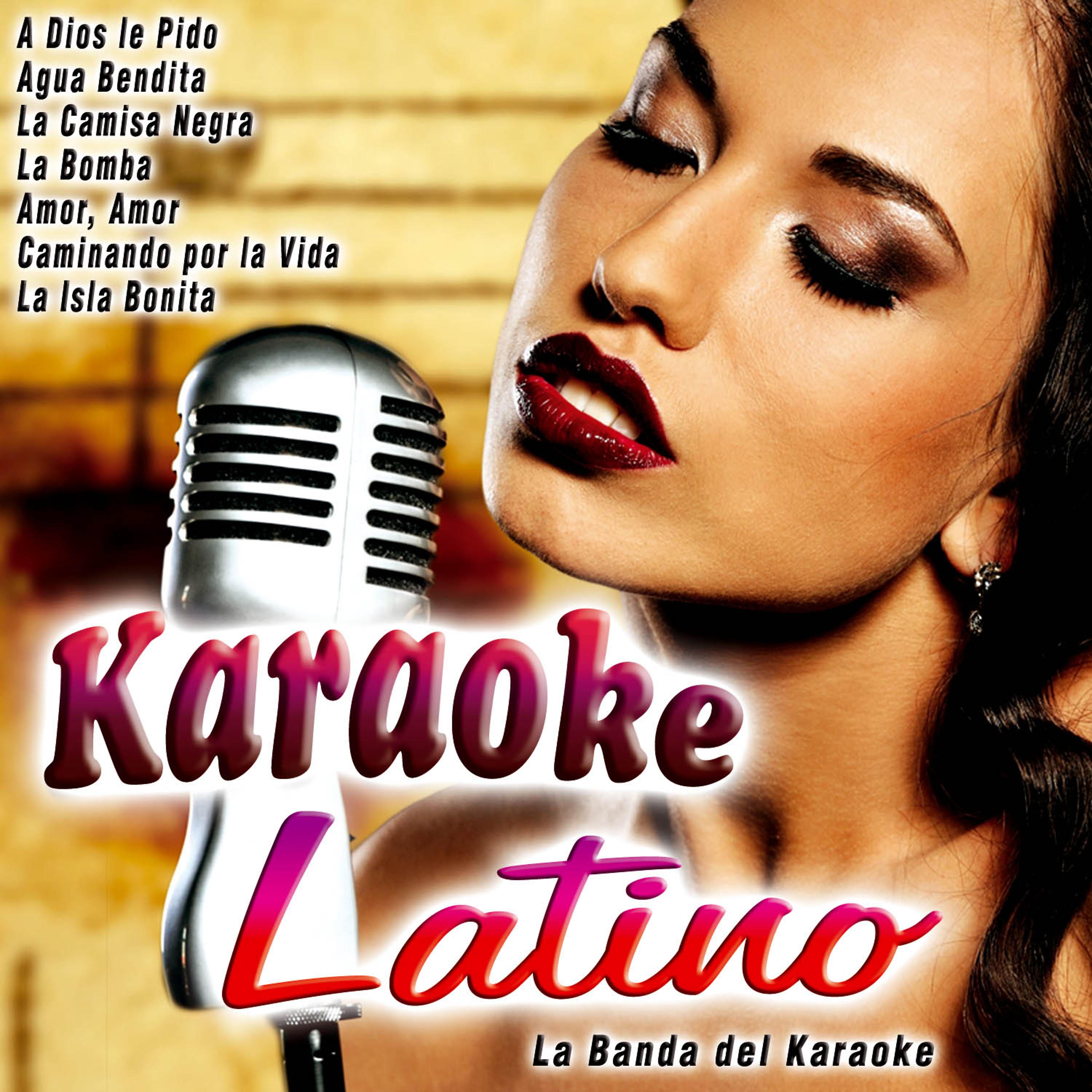 Постер альбома Karaoke Latino