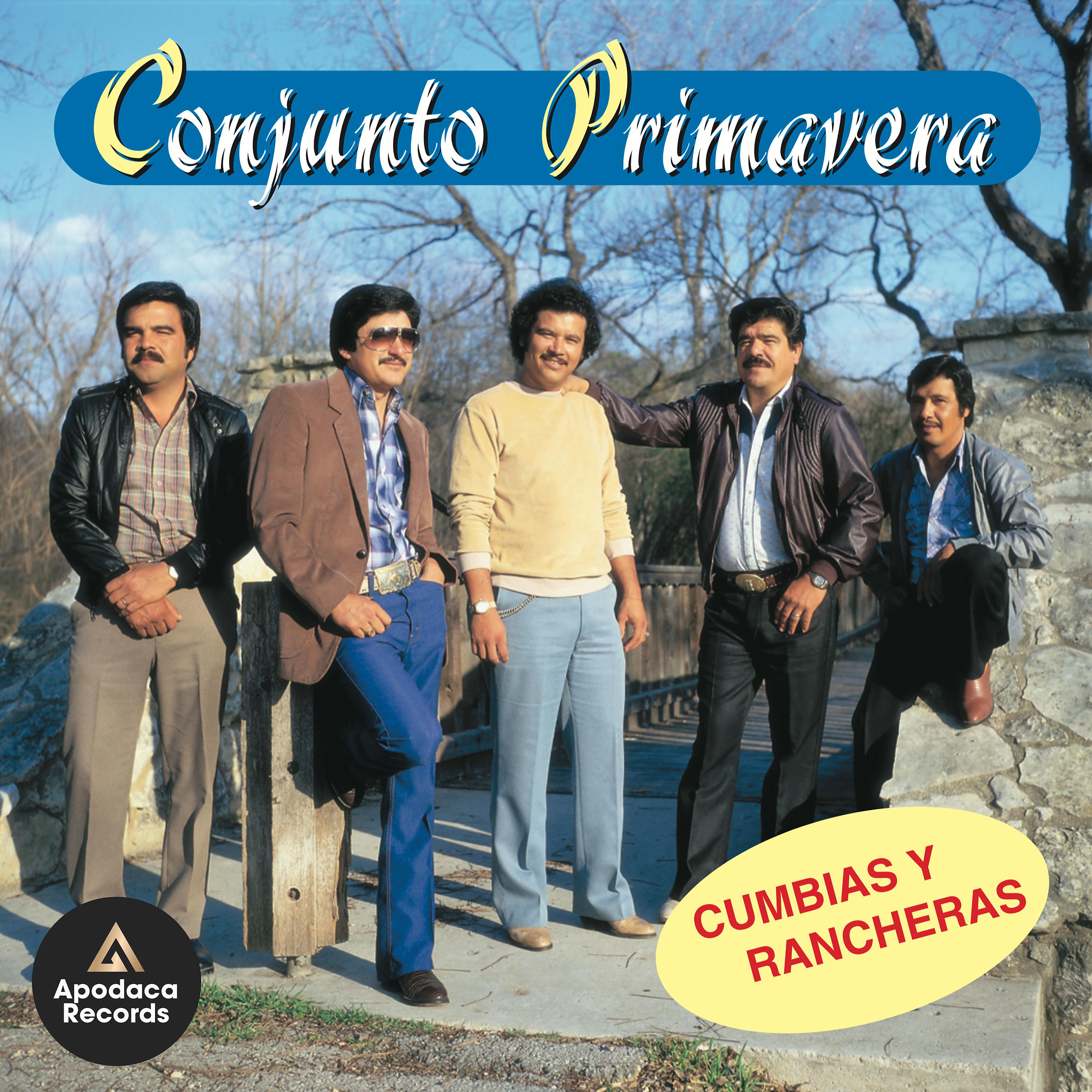 Постер альбома Cumbias y Rancheras