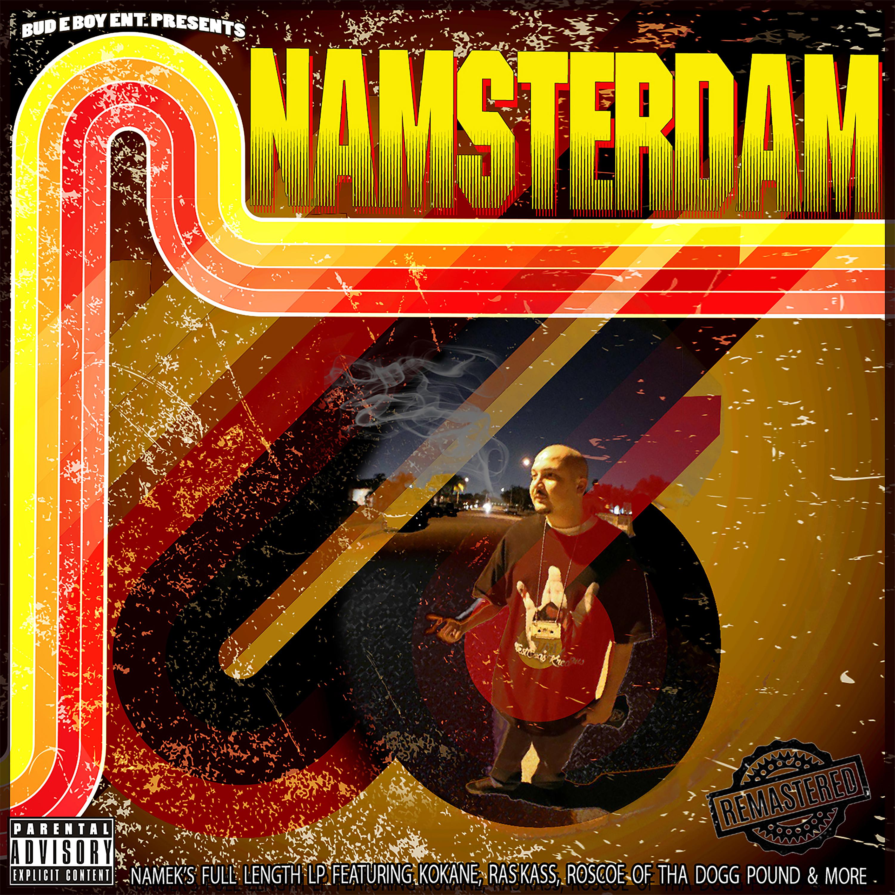 Постер альбома Namsterdam