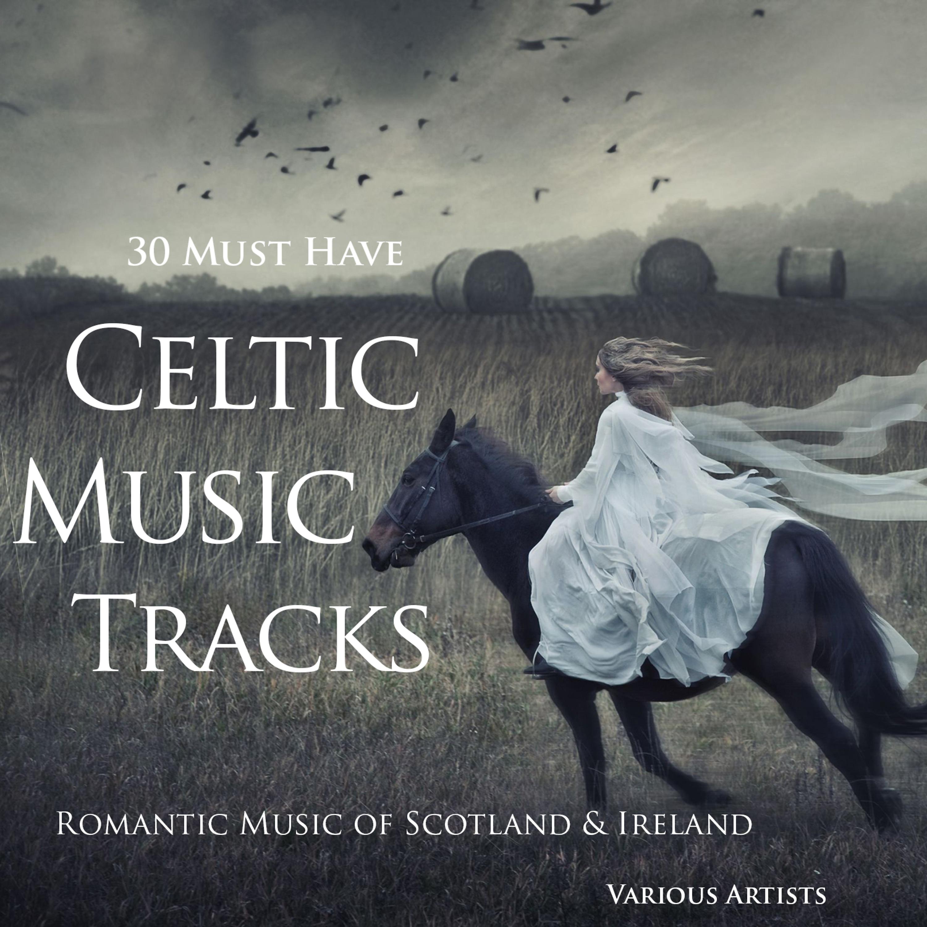 Постер альбома 30 Must Have Celtic Music Tracks (Romantic Music of Ireland & Scotland)
