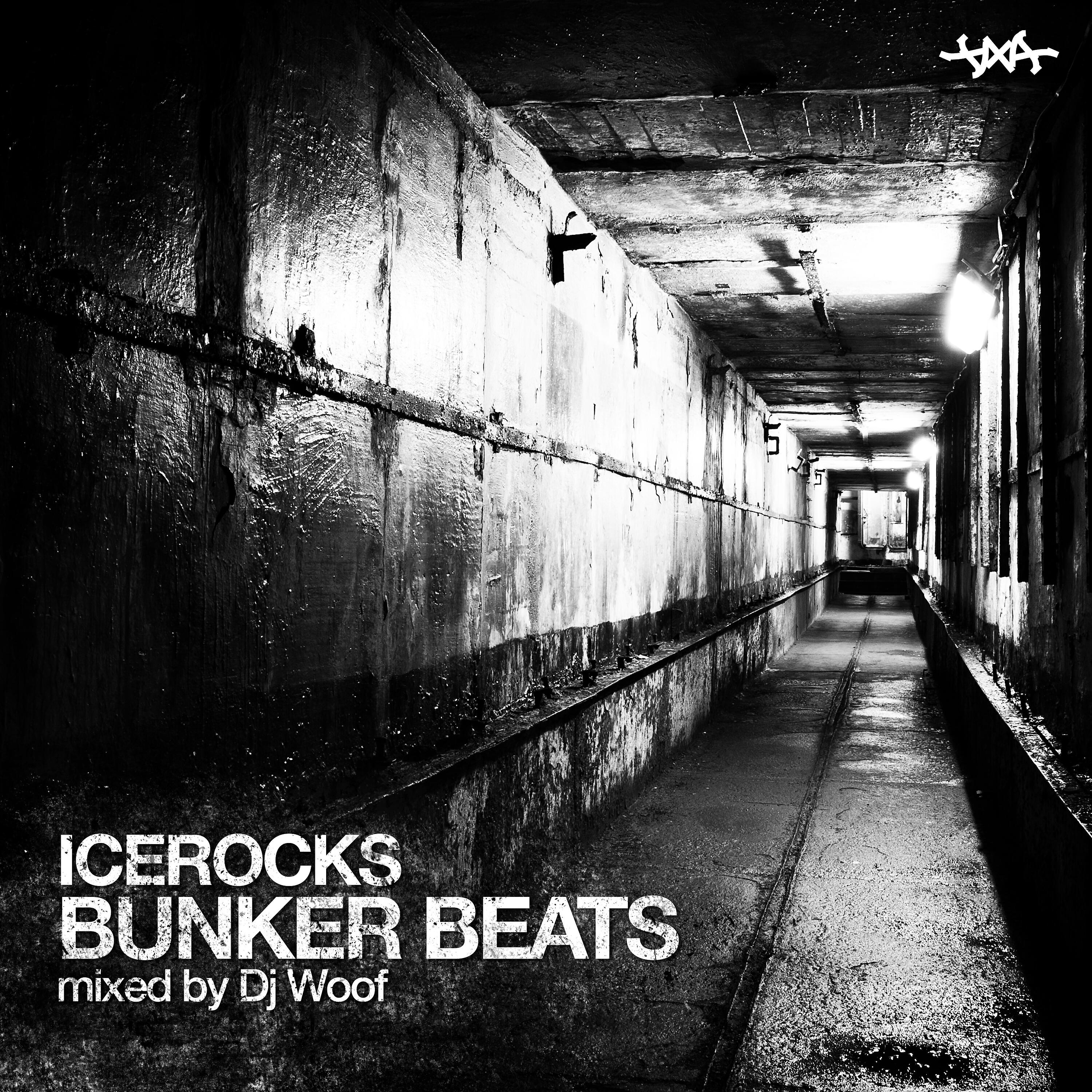 IceRocks - Mama Always Said (Instrumental)