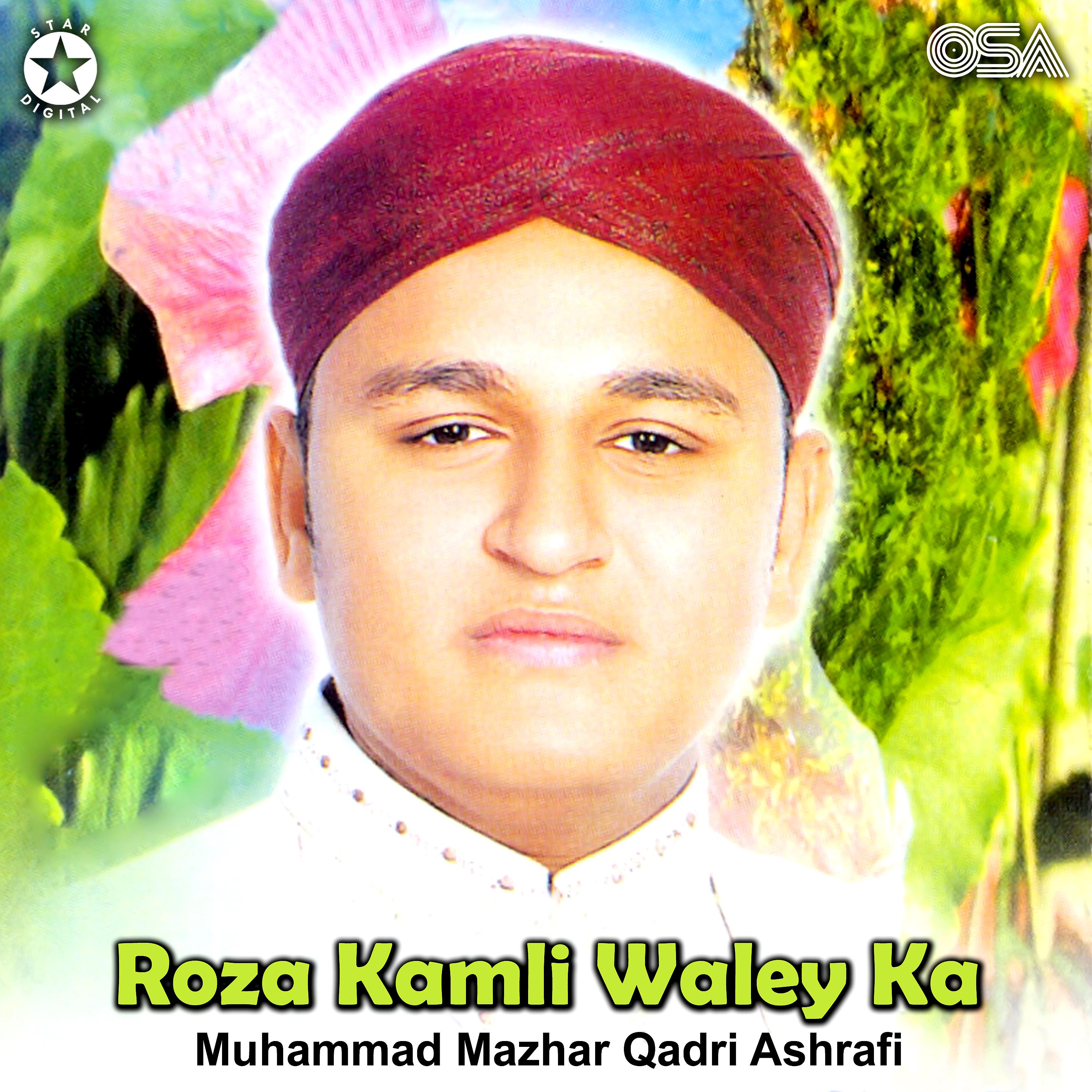 Постер альбома Roza Kamli Waley Ka