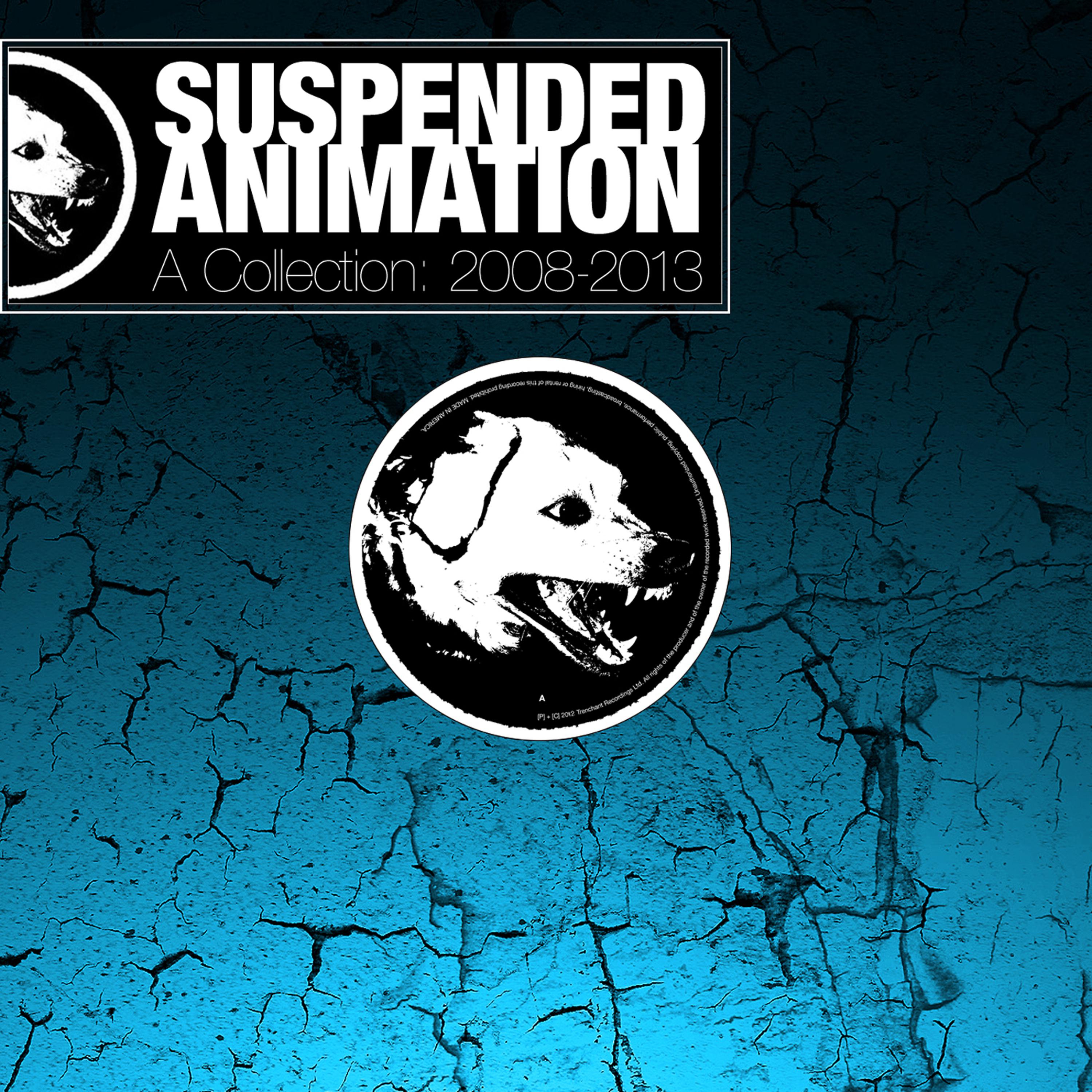 Постер альбома Suspended Animation: A Collection 2008-2013