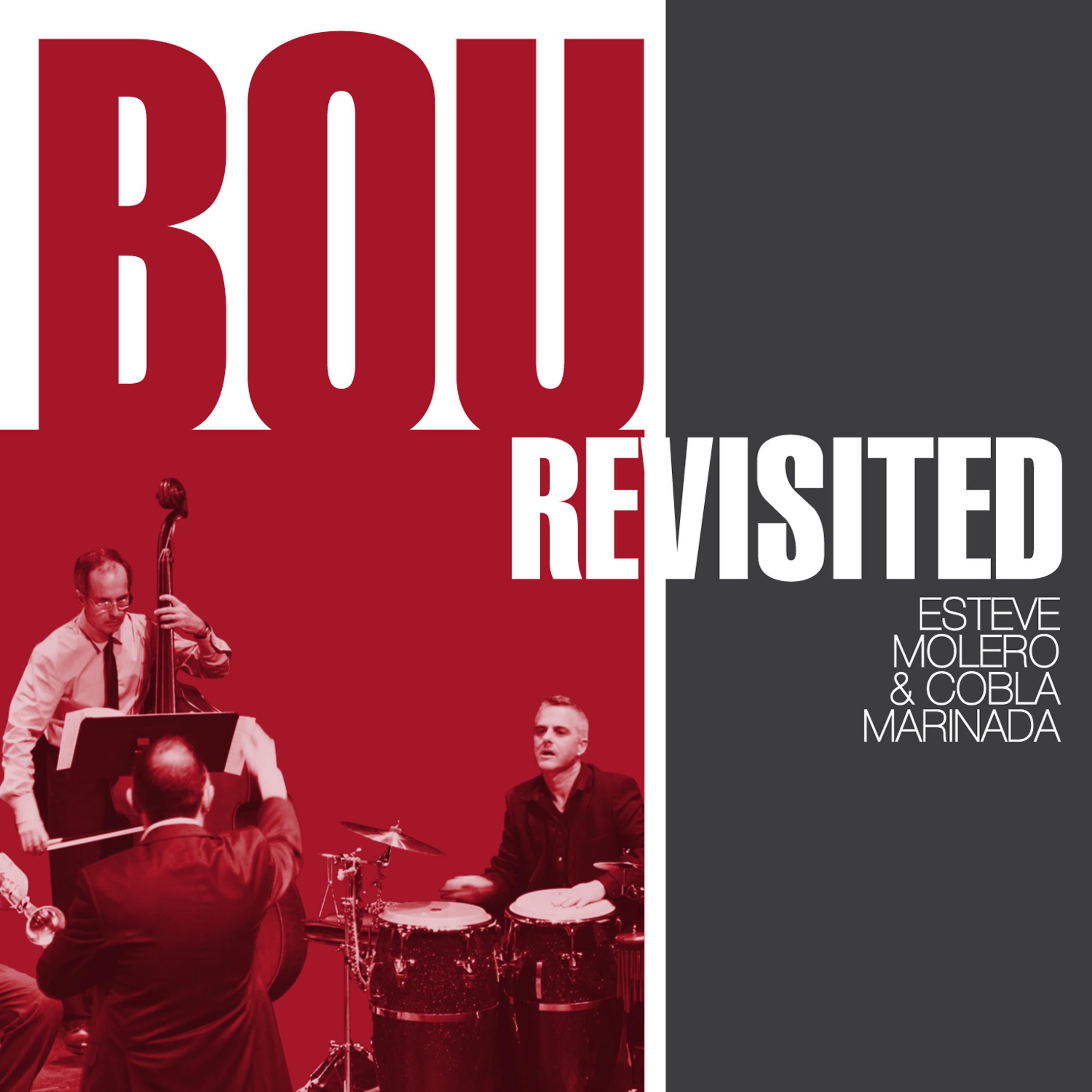 Постер альбома Bou Revisited