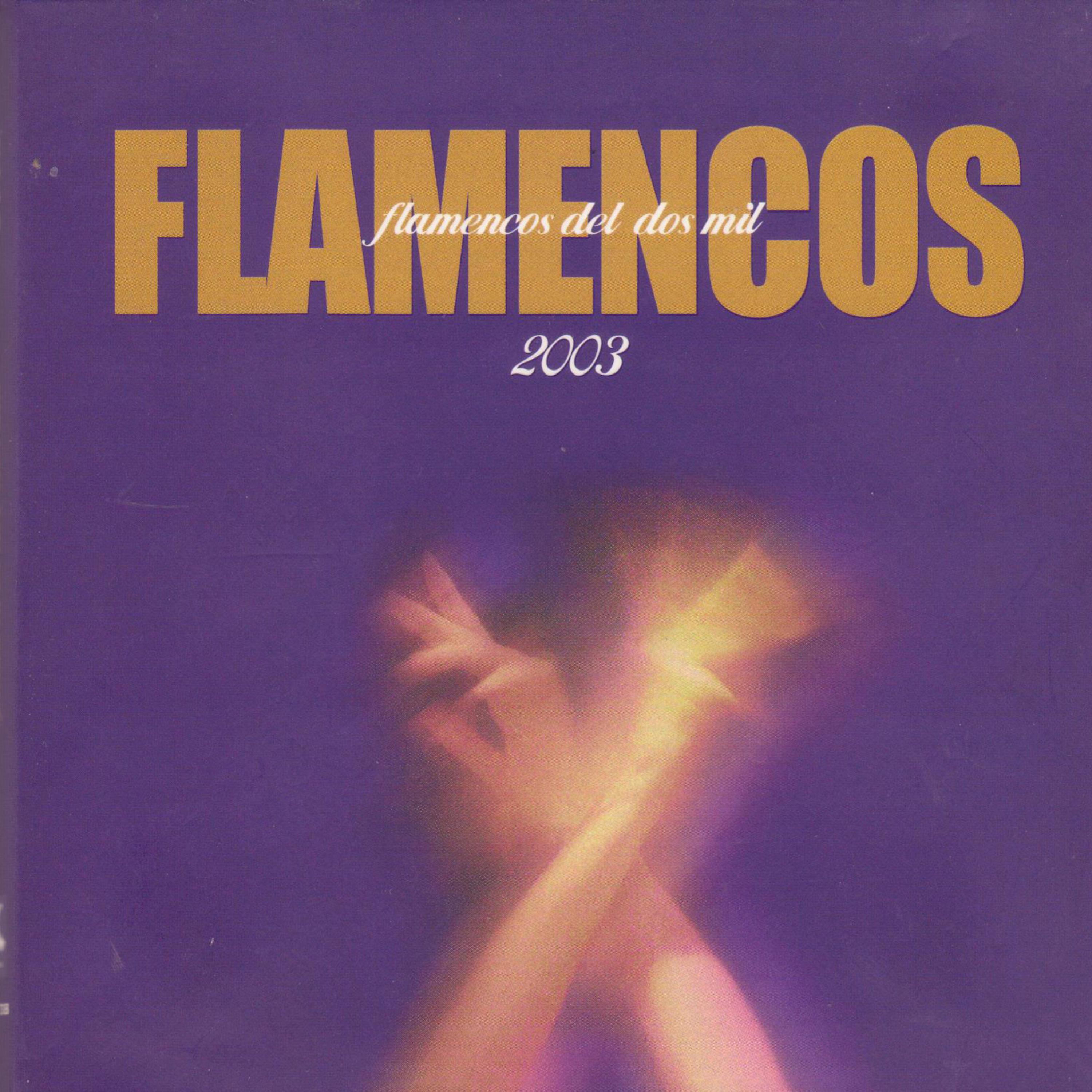Постер альбома Flamencos del Dos Mil