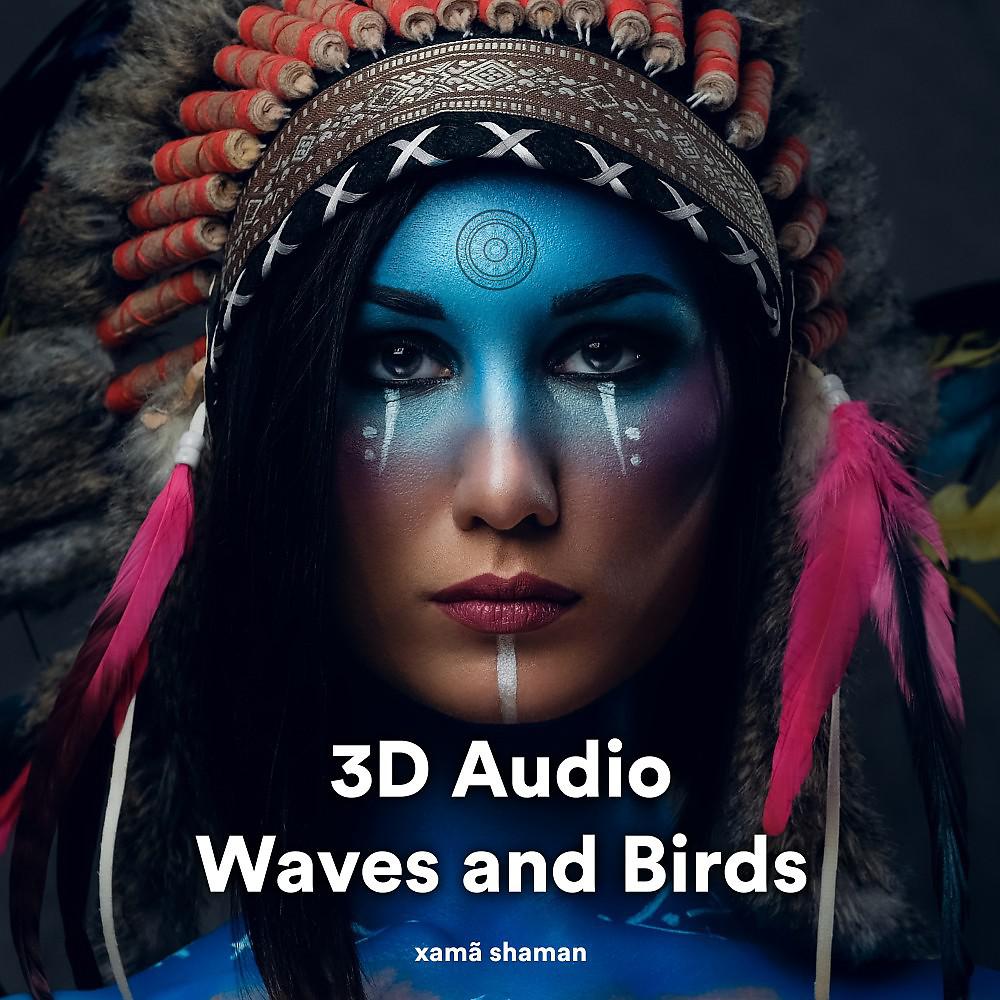 Постер альбома 3D Audio Waves and Birds