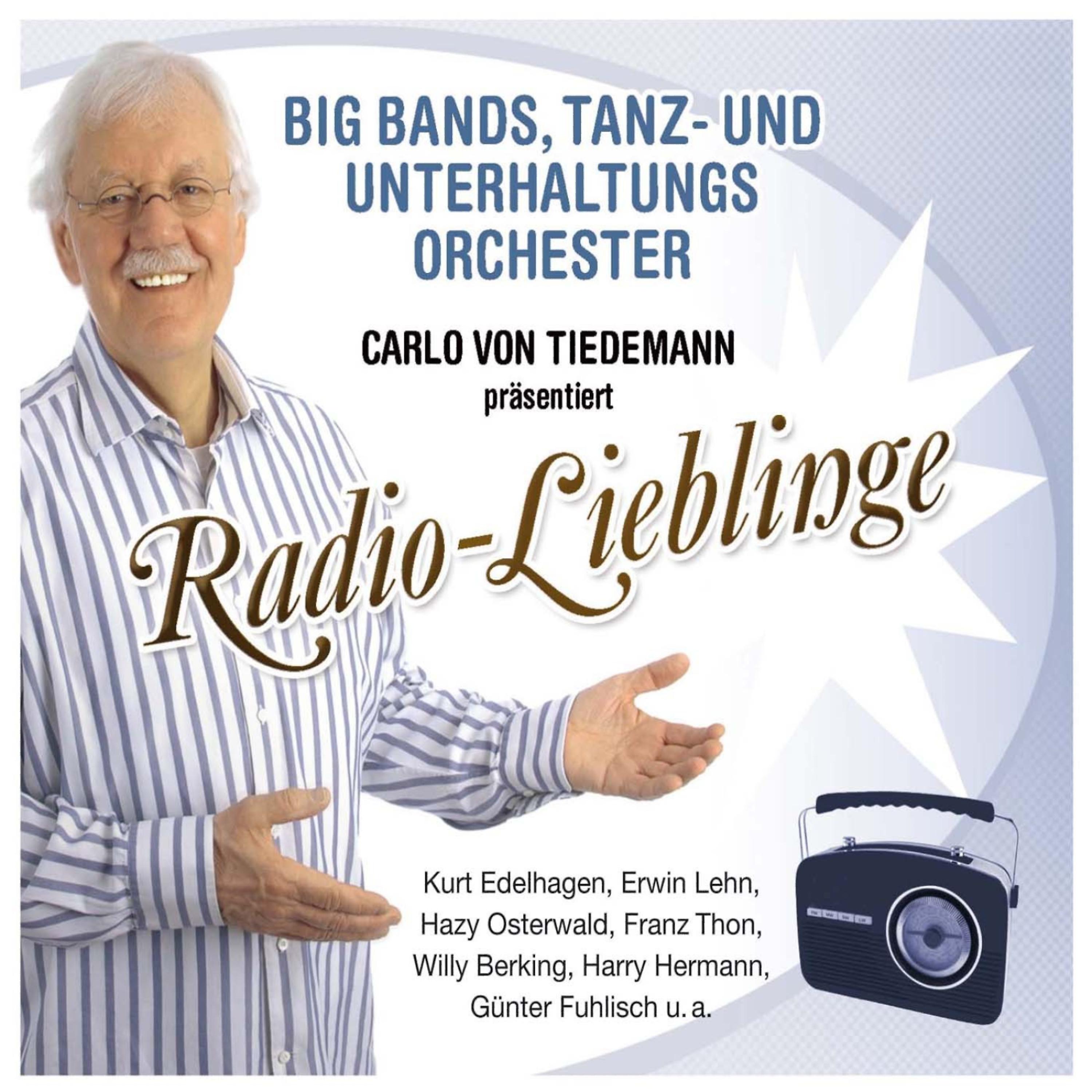 Постер альбома Big Band, Tanz- und Unterhaltungsorchester