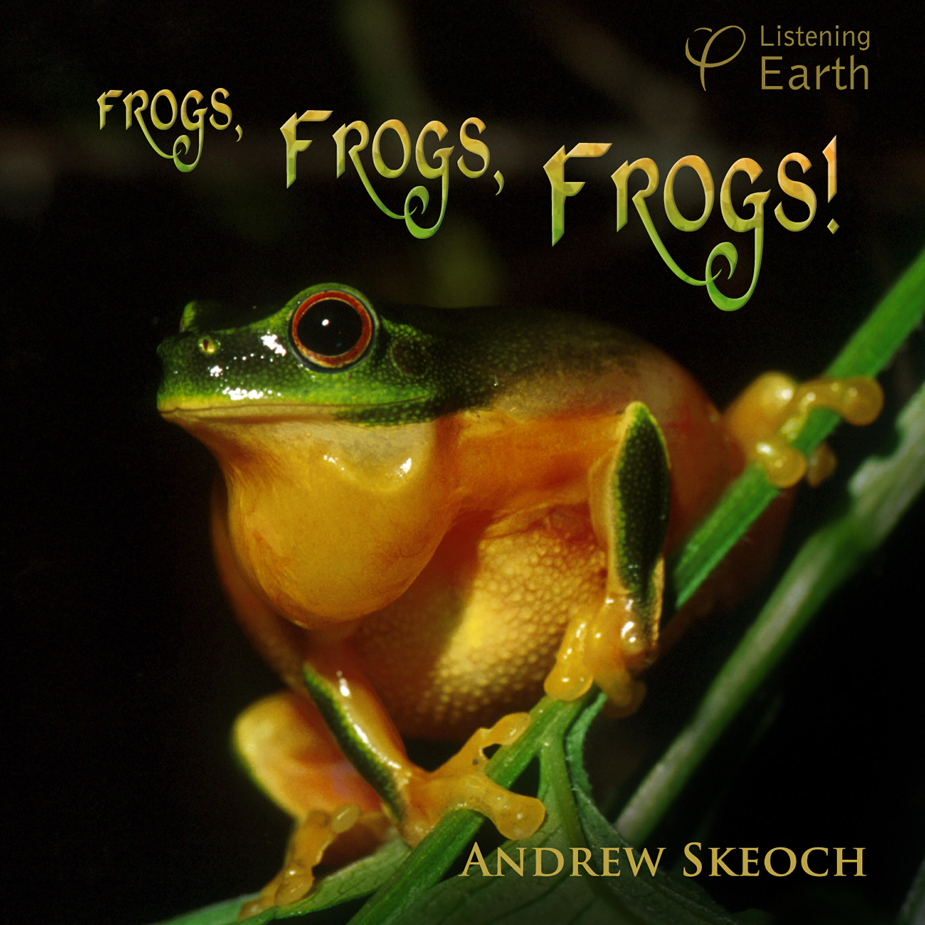 Andrew Skeoch - Pobblebonk Chorus (plus Striped Marsh Frogs, Brown Tree Frogs and Crinias)