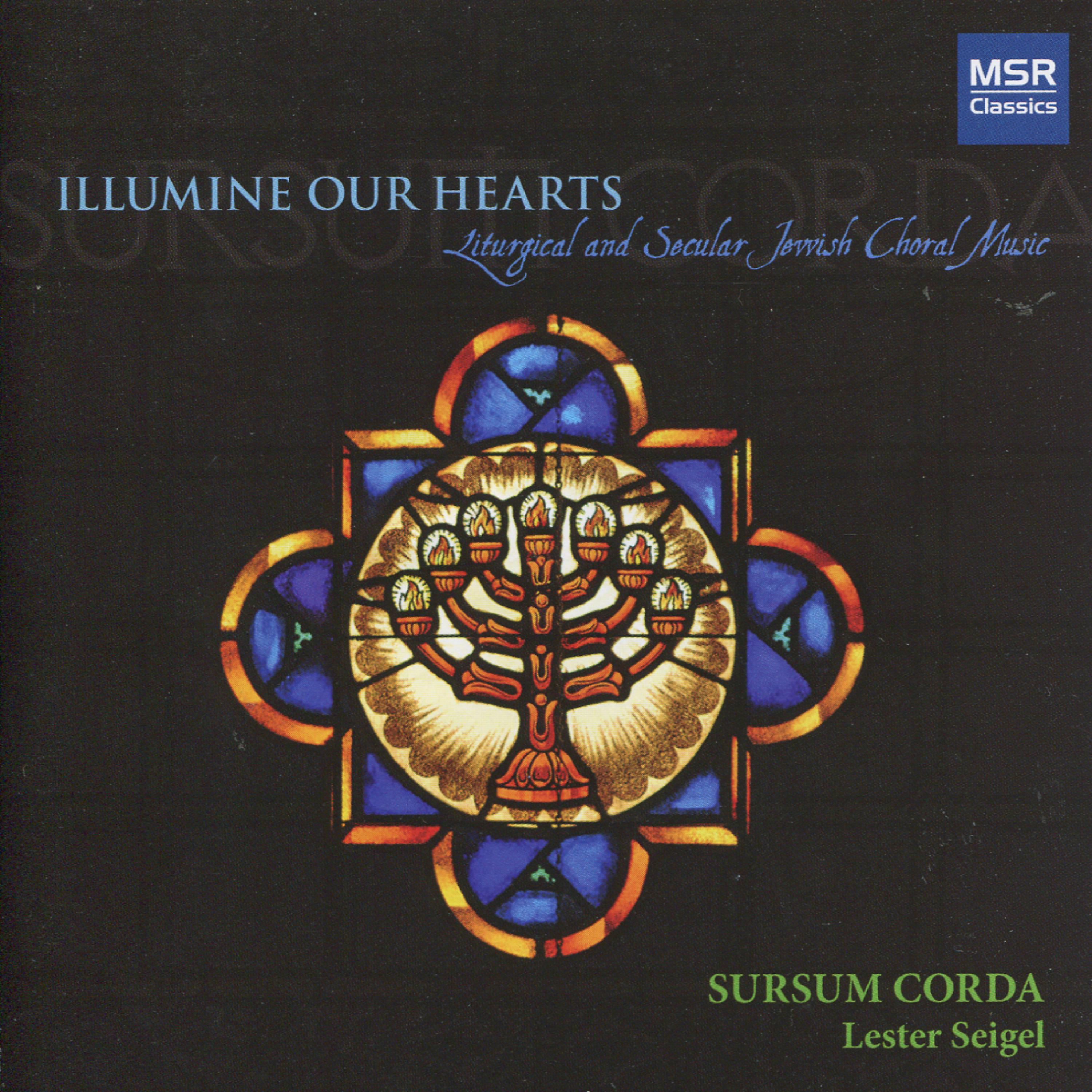 Постер альбома Illumine Our Hearts: Liturgical and Secular Jewish Choral Music