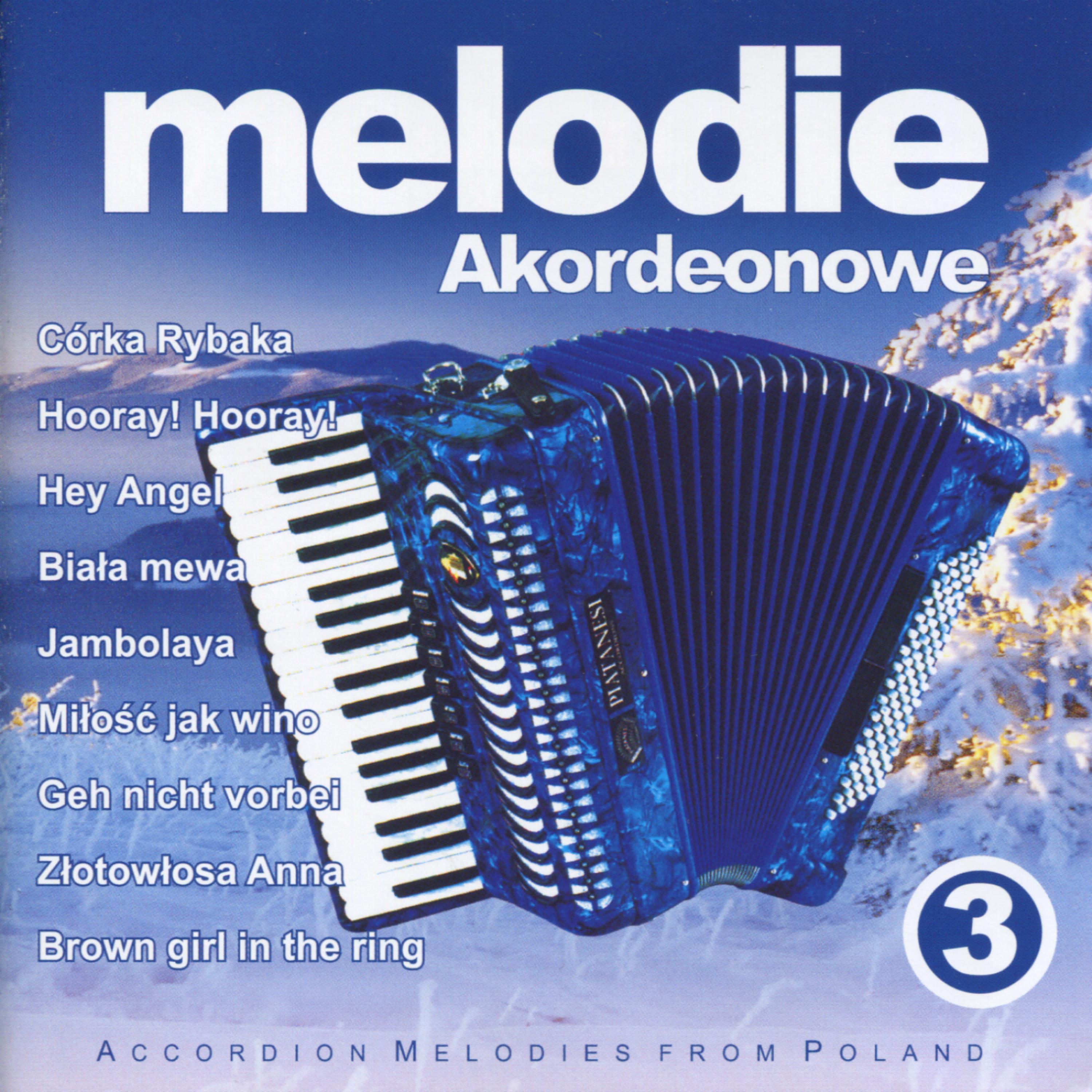 Постер альбома Serca Dwa - Accordion Melodies from Poland