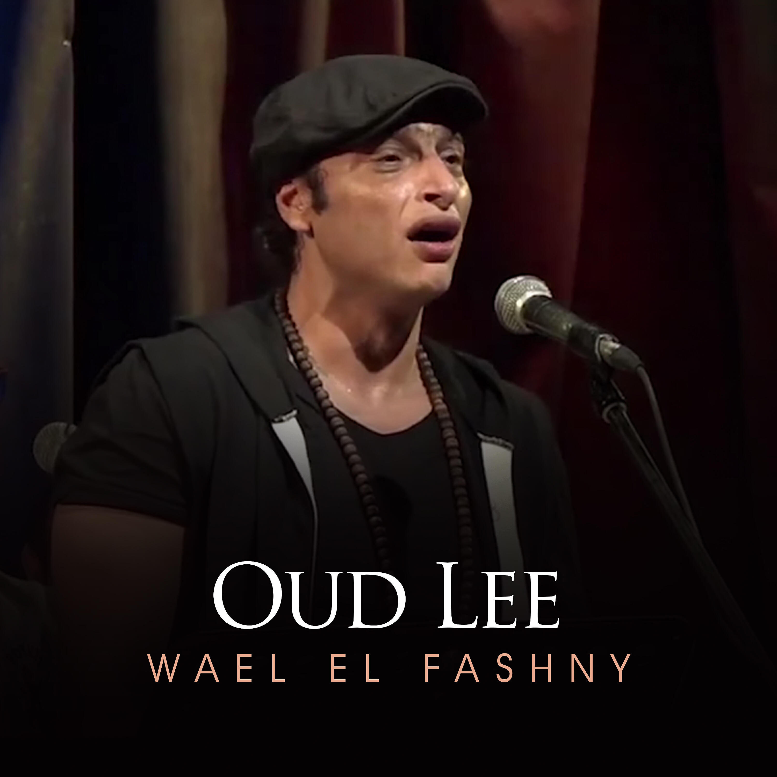 Wael El Fashny - Oud Lee (Live)