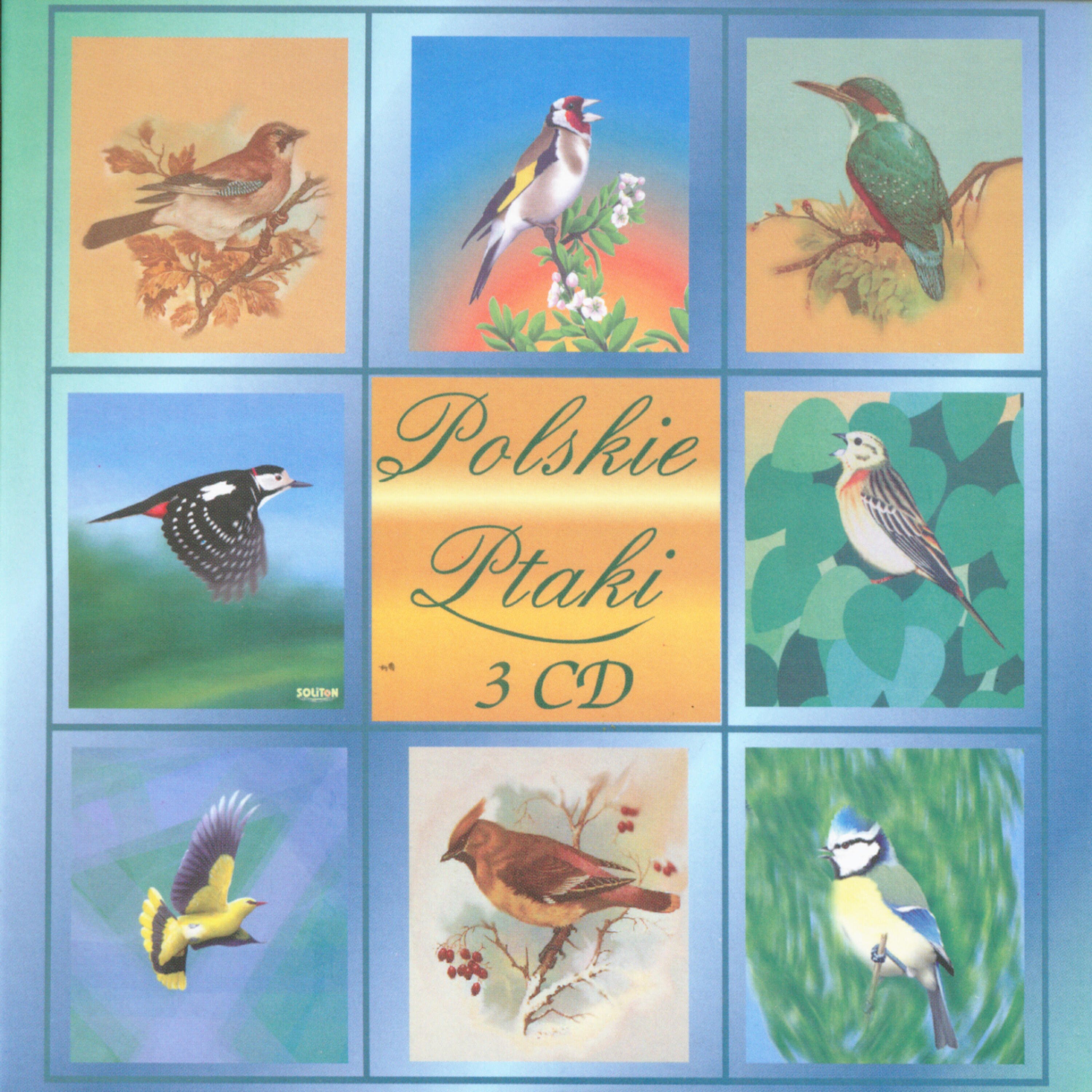 Polskie Ptaki - Warbler