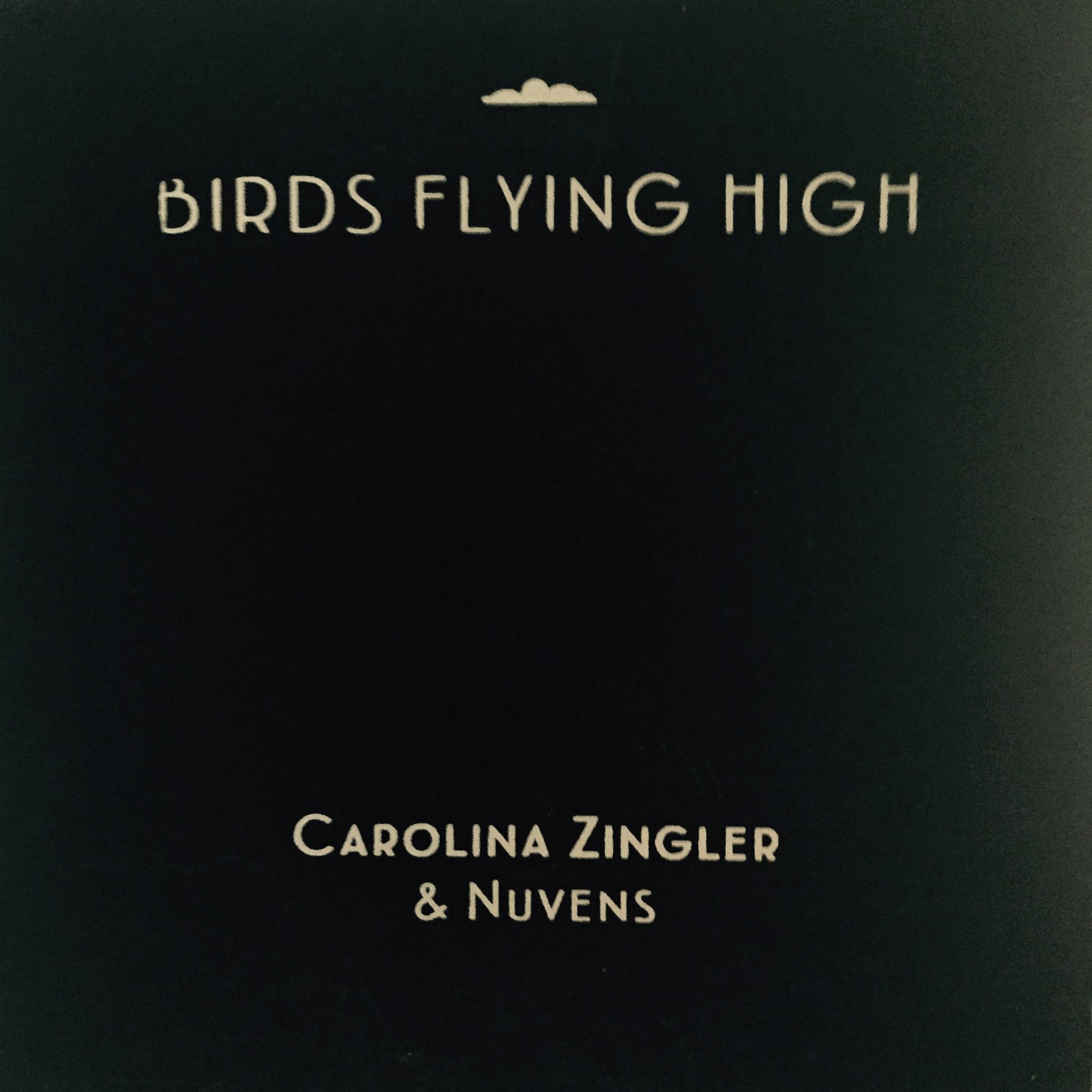 Постер альбома Birds Flying High