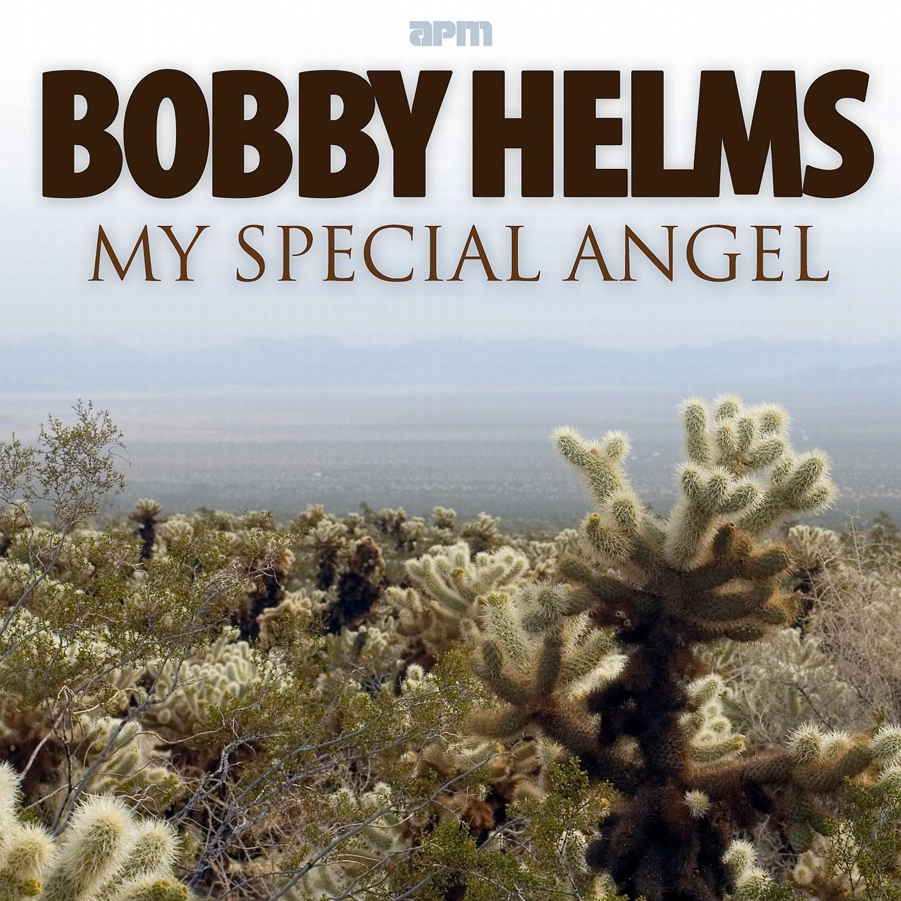 Постер альбома My Special Angel - The Best of Bobby Helms