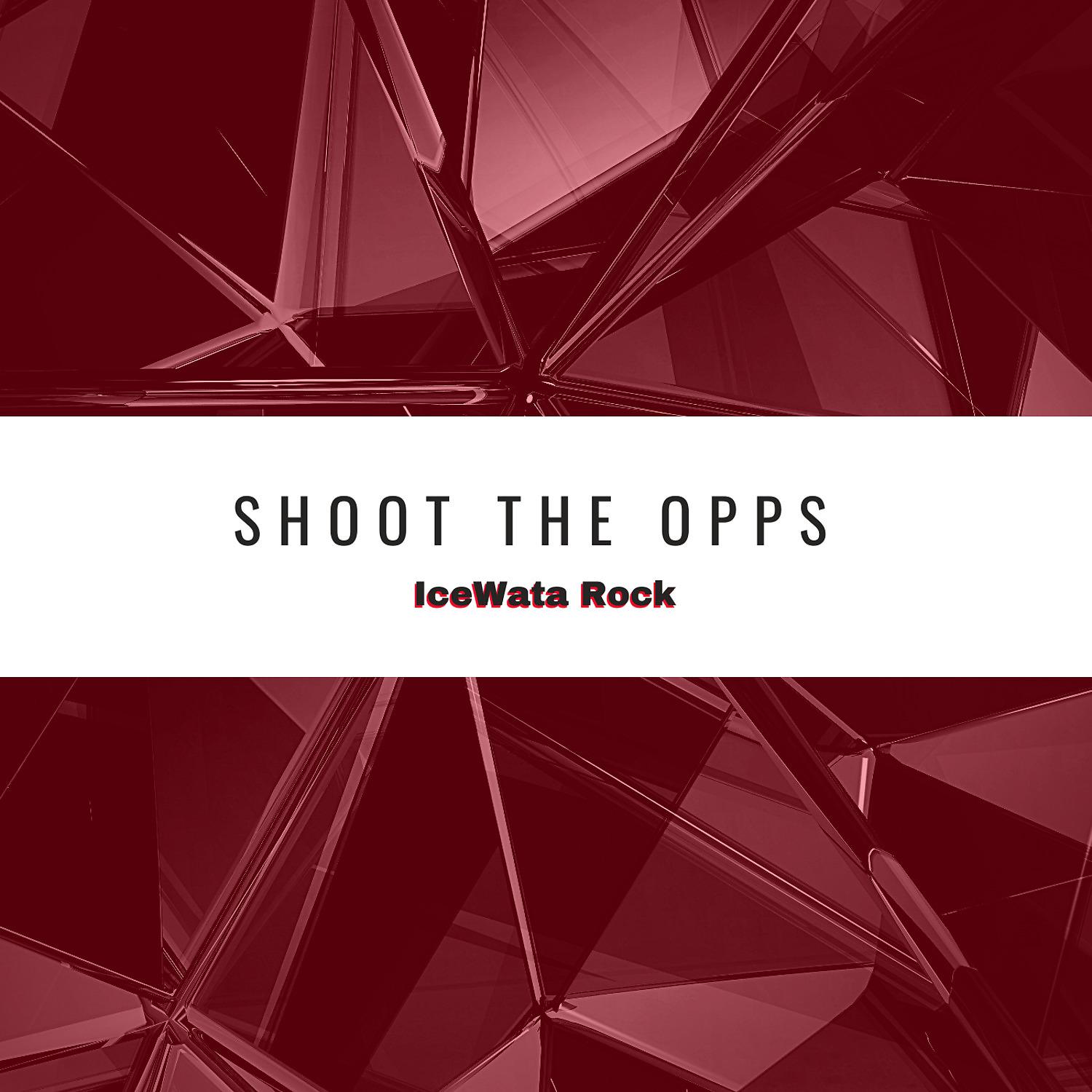 Постер альбома Shoot The Opps