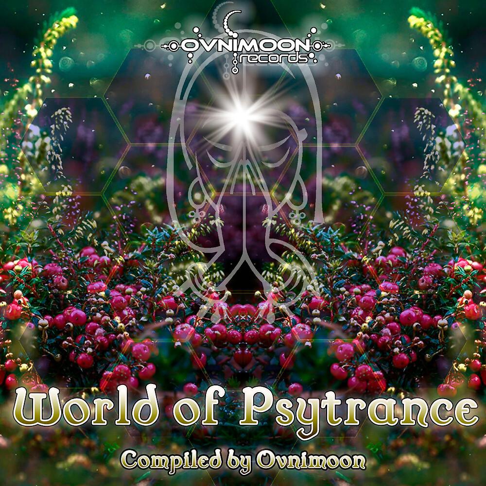 Постер альбома World Of Psytrance