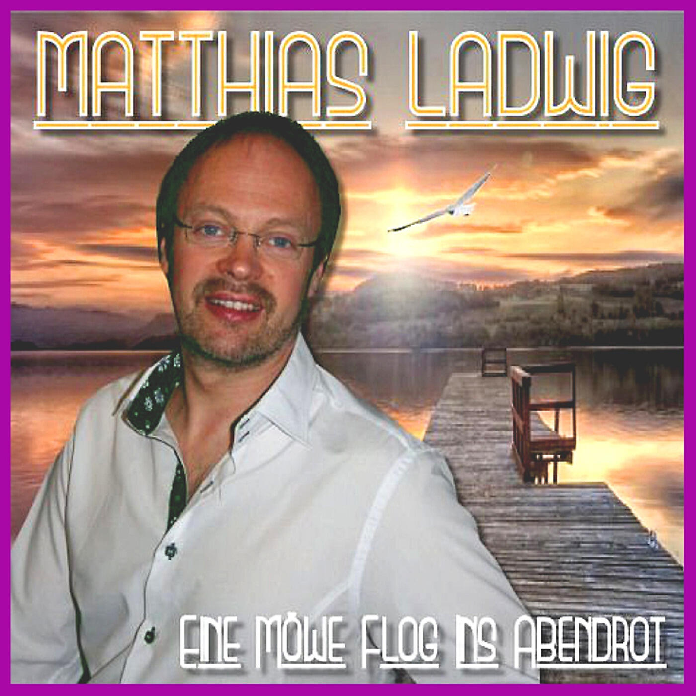 Matthias Ladwig - Eine Moewe Flog Ins Abendrot