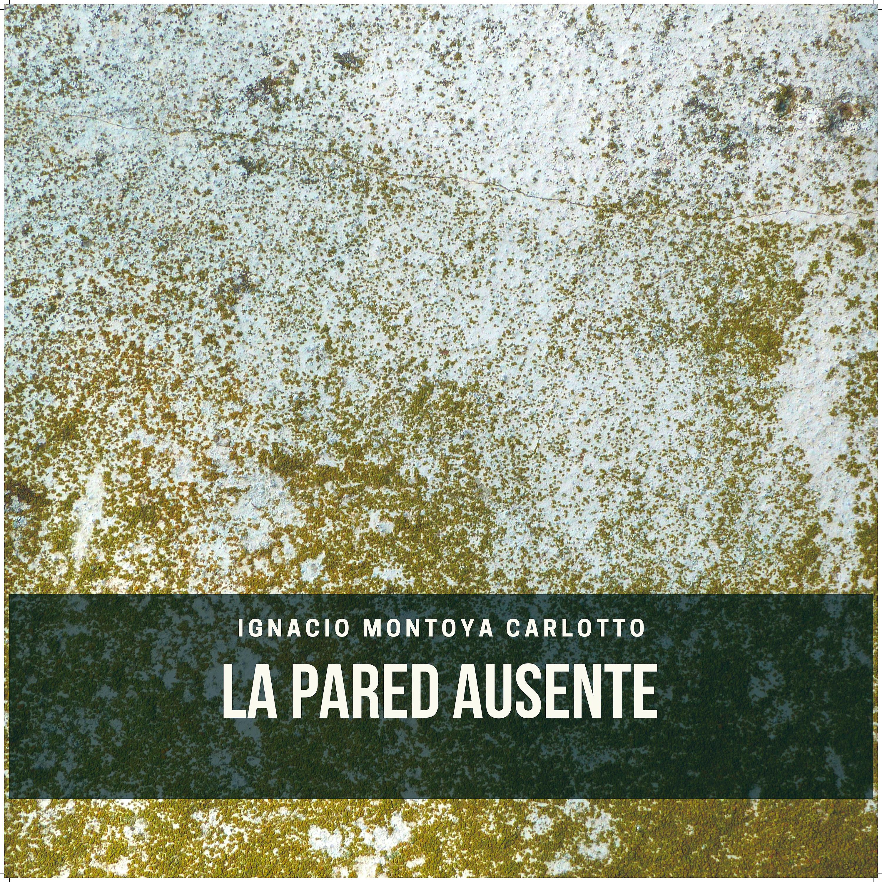 Постер альбома La Pared Ausente (Retratos de Momentos Separados)