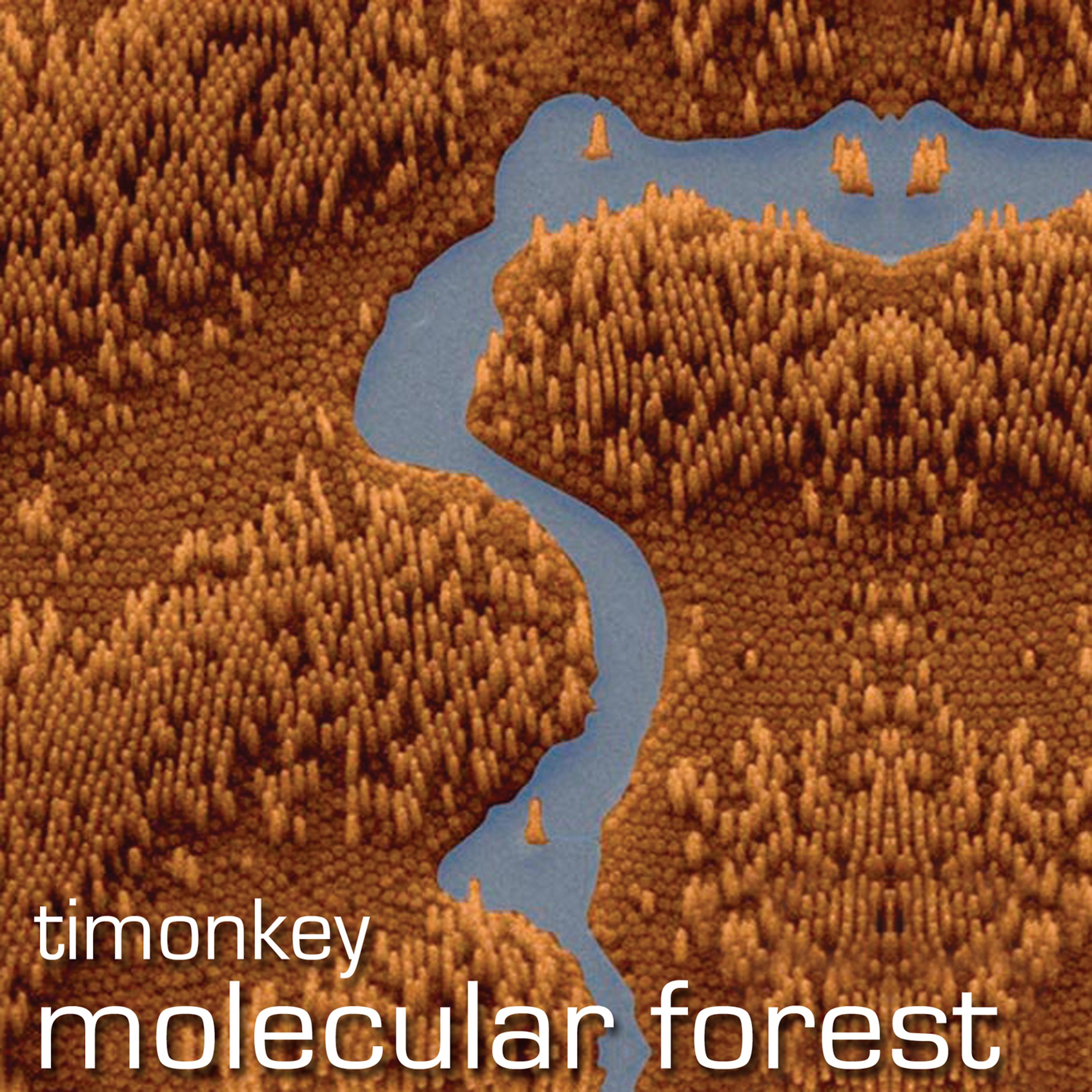 Постер альбома Molecular Forest