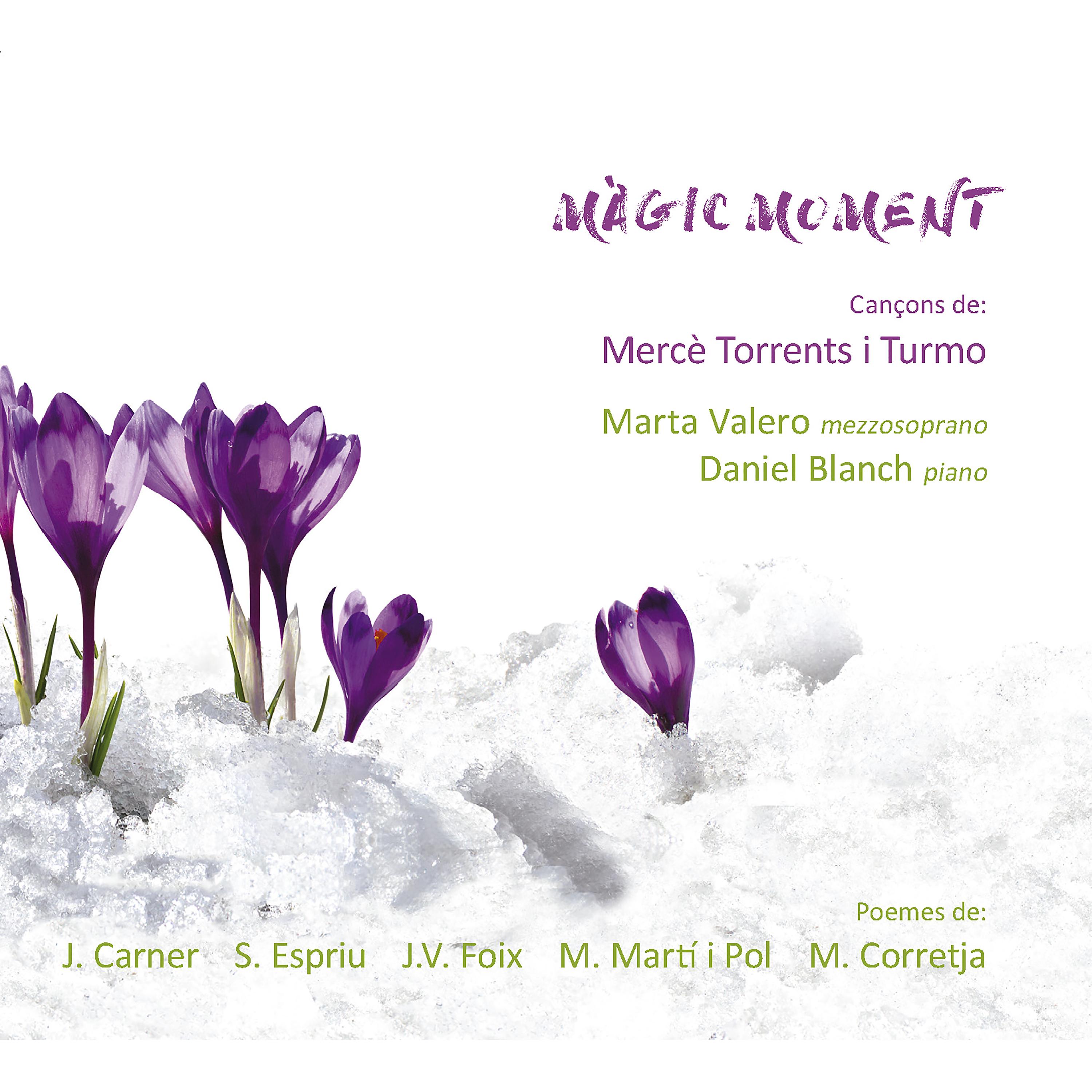 Постер альбома Màgic Moment