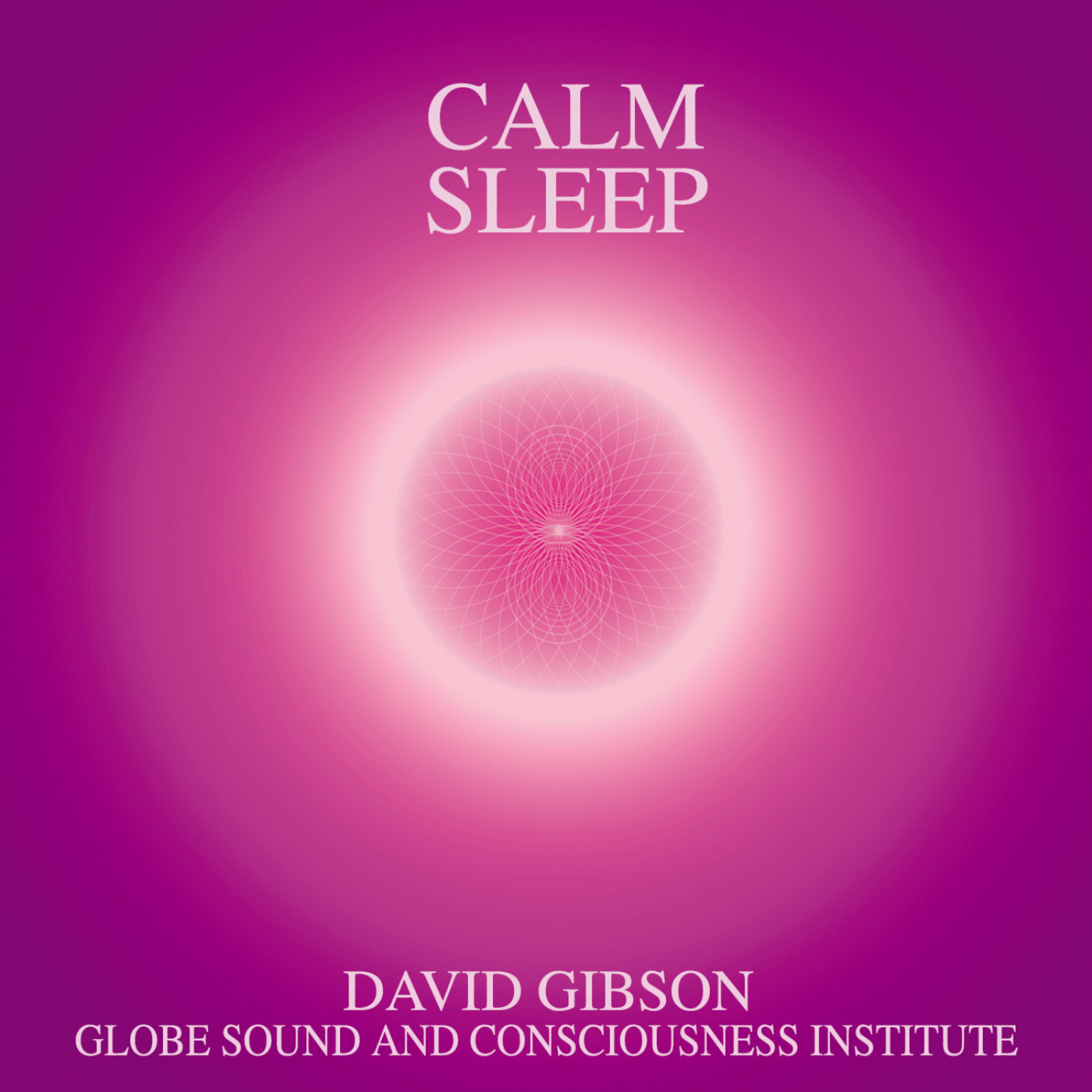 Постер альбома Calm Sleep