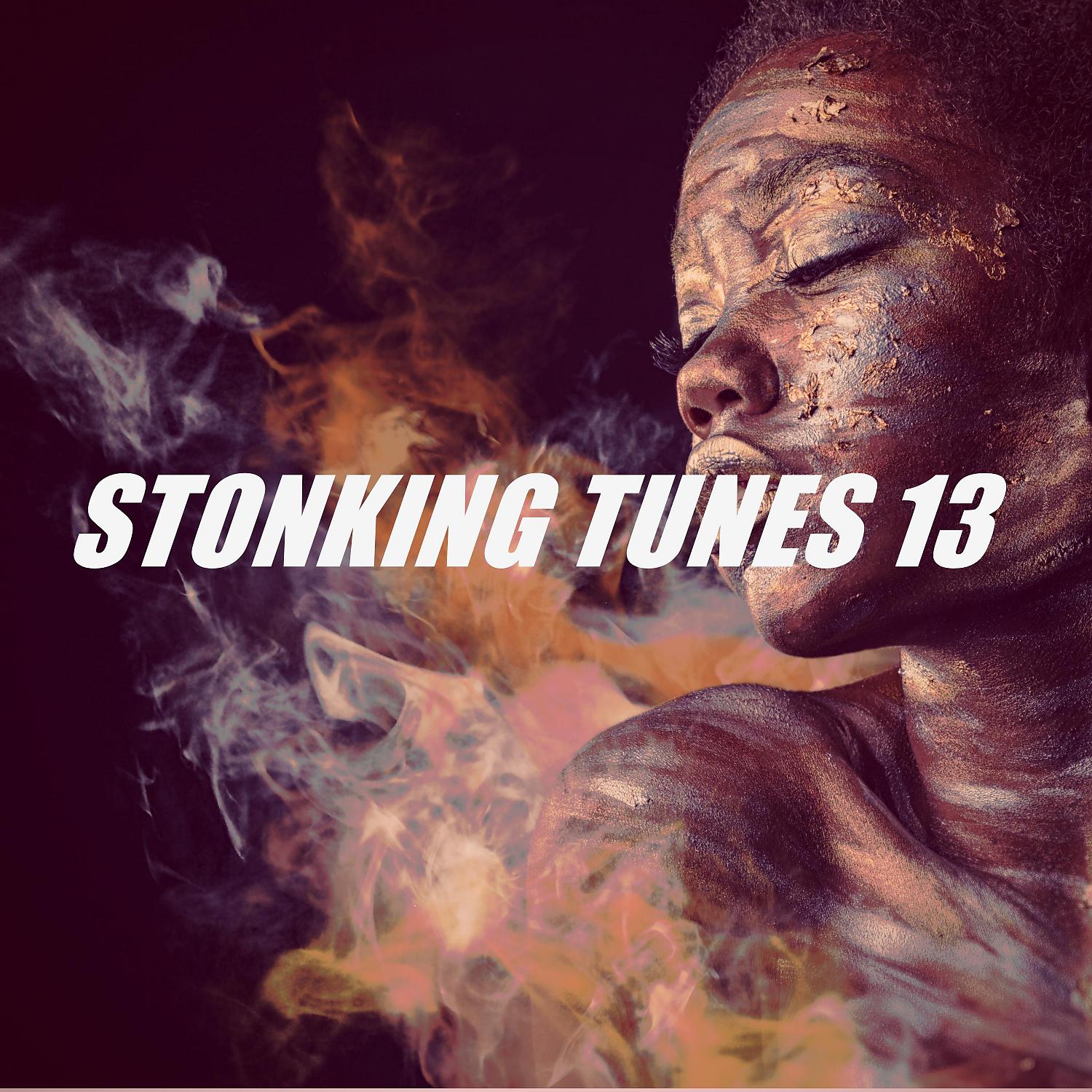 Постер альбома STONKING TUNES 13