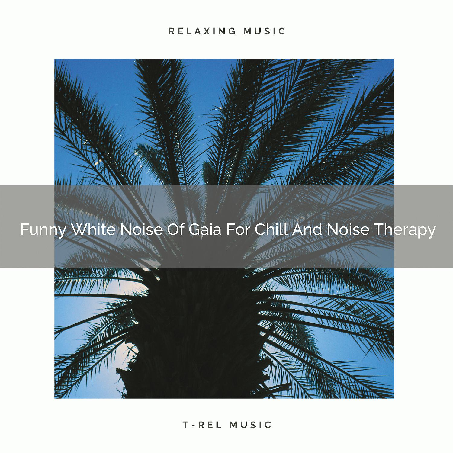 Постер альбома 2020 Best: Funny White Noise Of Gaia For Chill And Noise Therapy