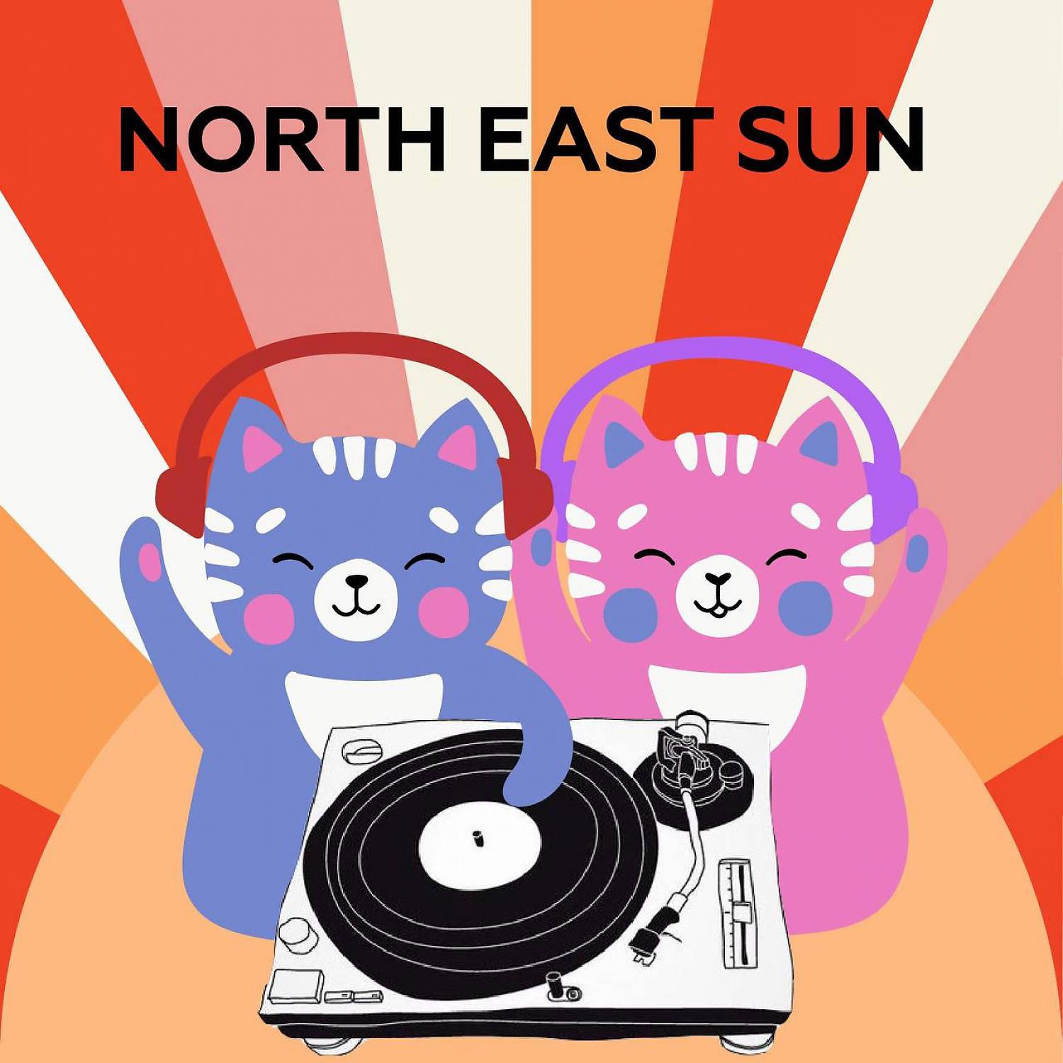 Постер альбома north east sun