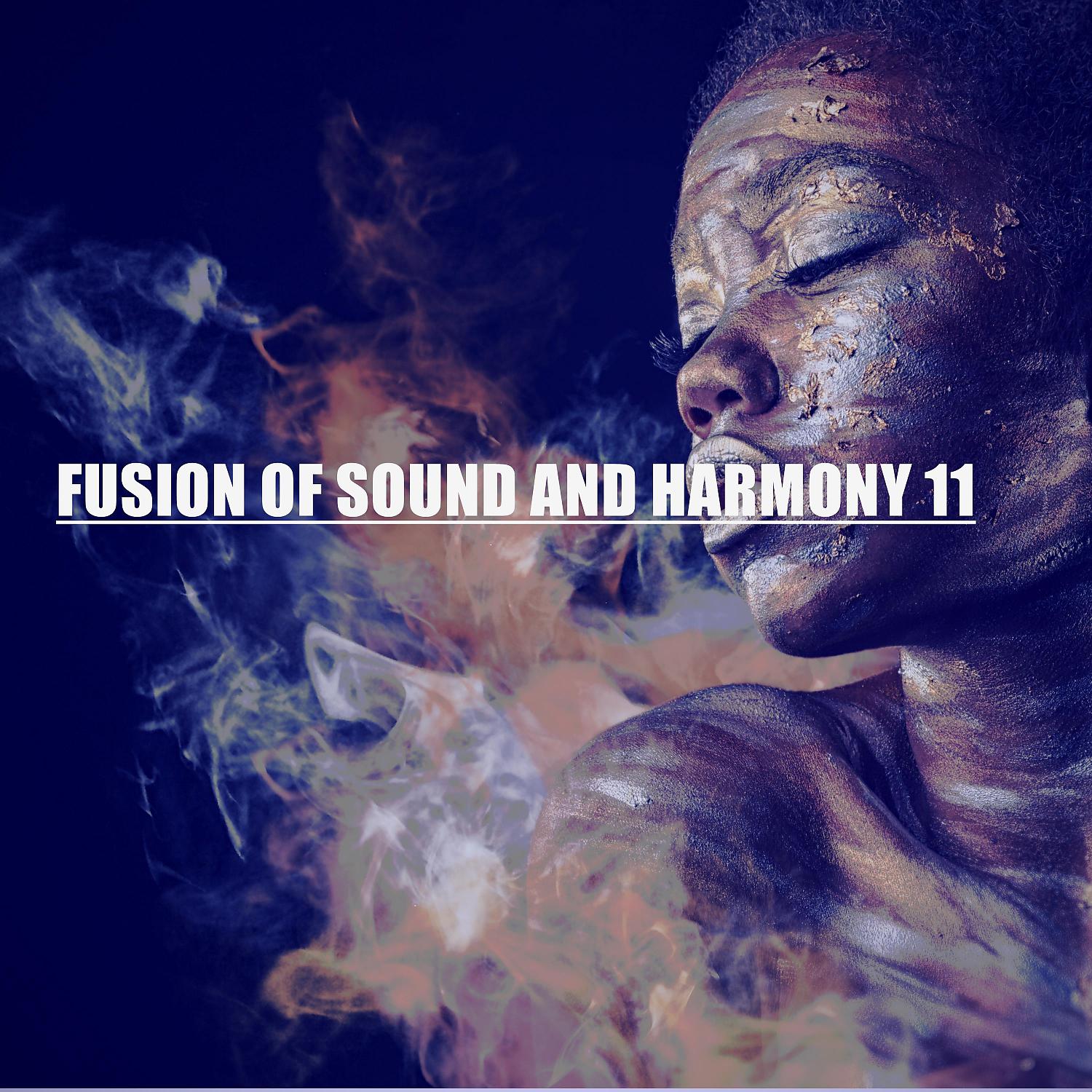 Постер альбома FUSION OF SOUND AND HARMONY 11