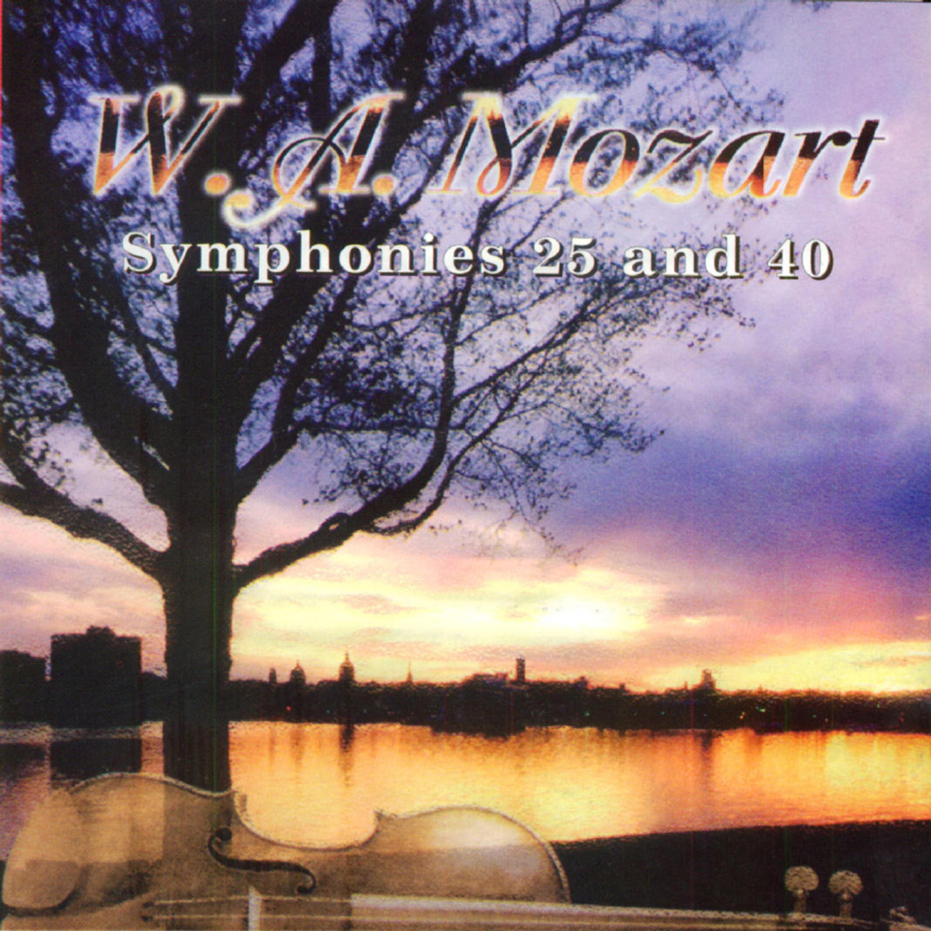 Renaissance Symphony Orchestra - Symphony No. 40 in G Minor, KV 550: III. Menuetto, Allegretto