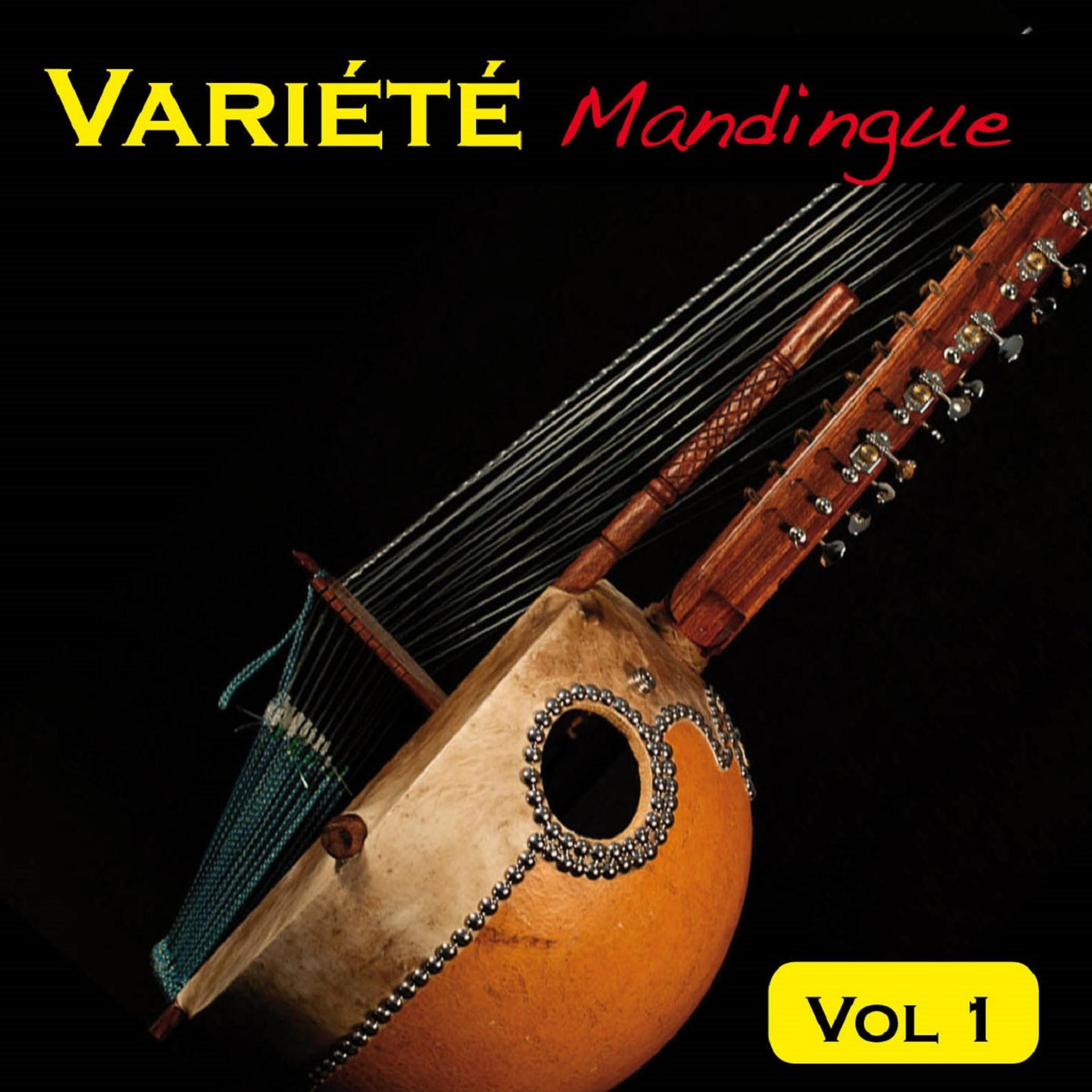 Постер альбома Variété Mandingue Vol. 1
