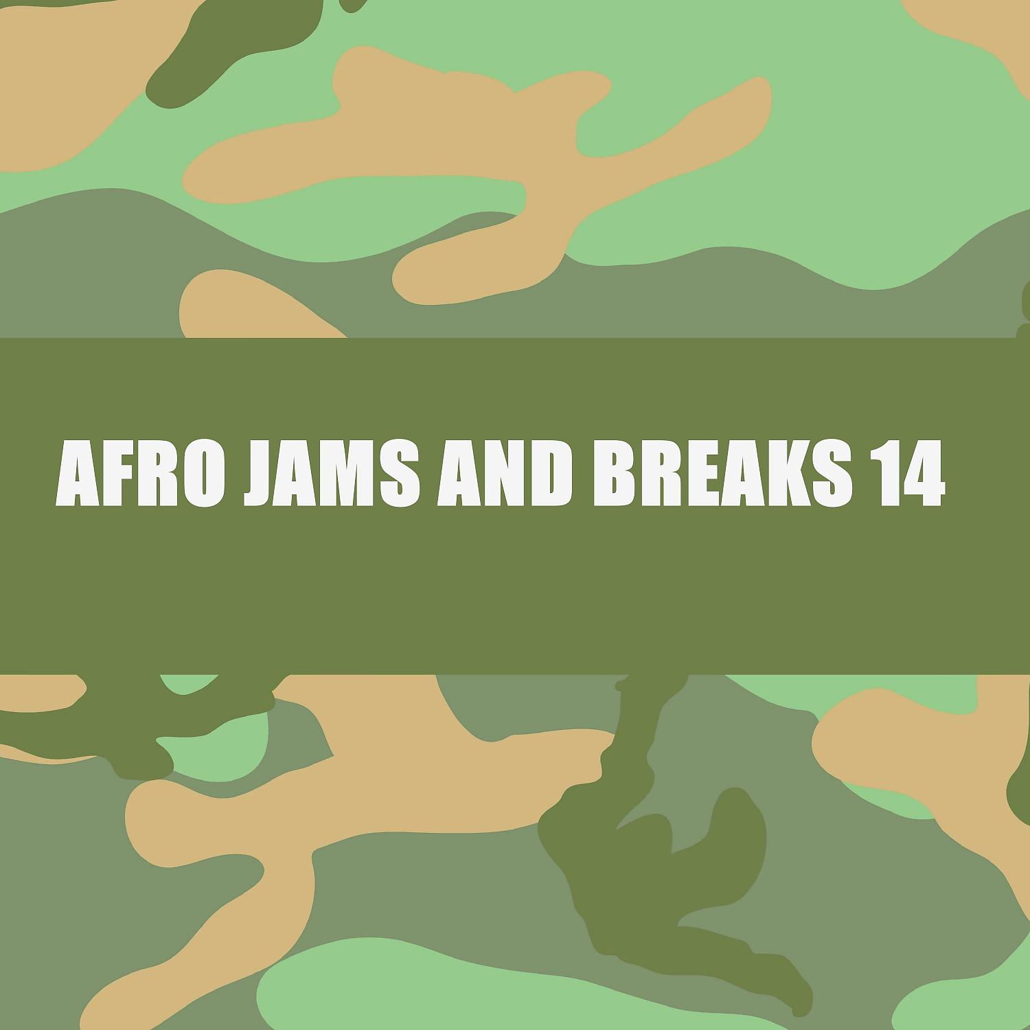 Постер альбома AFRO JAMS AND BREAKS 14