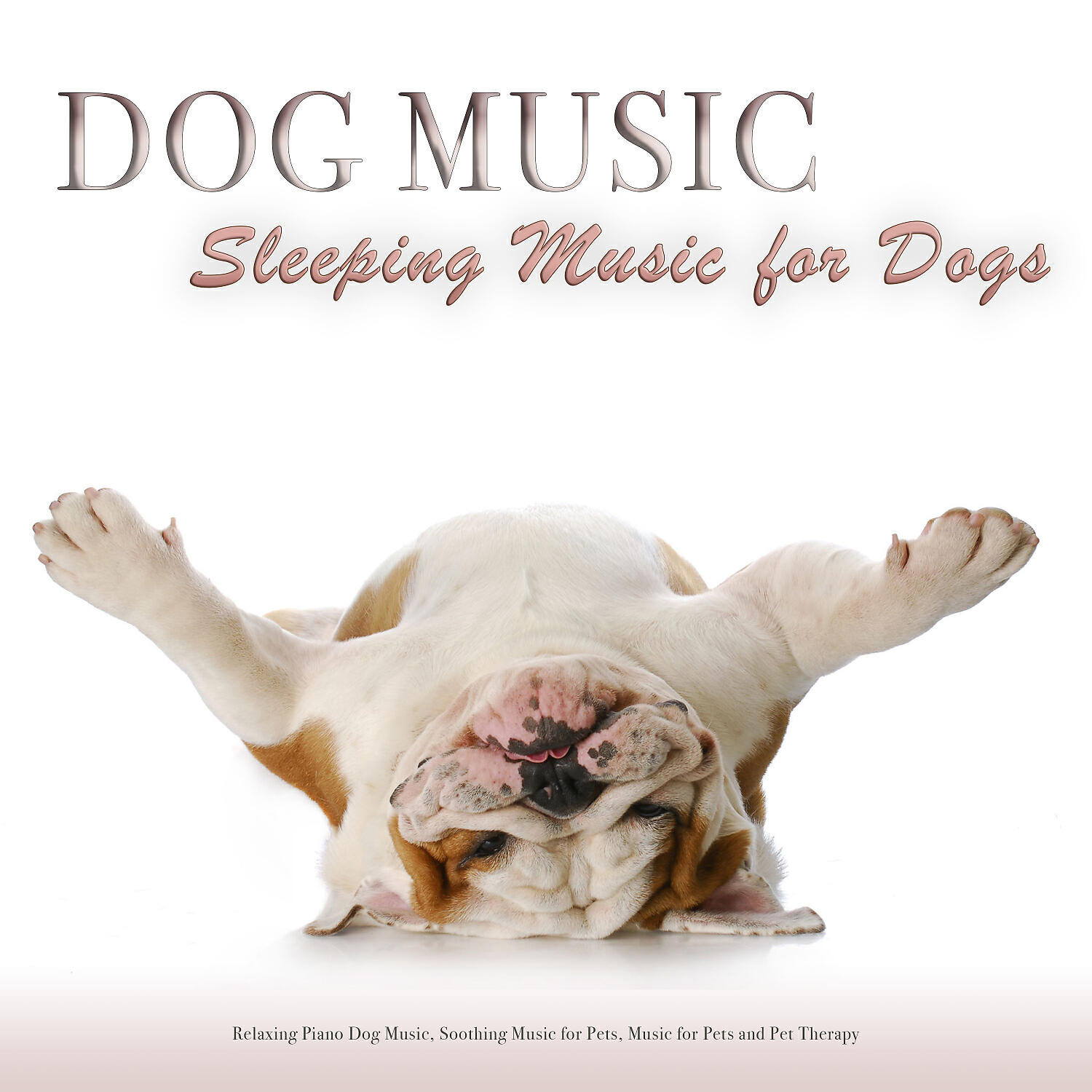 Dog Music - Music for Dogs