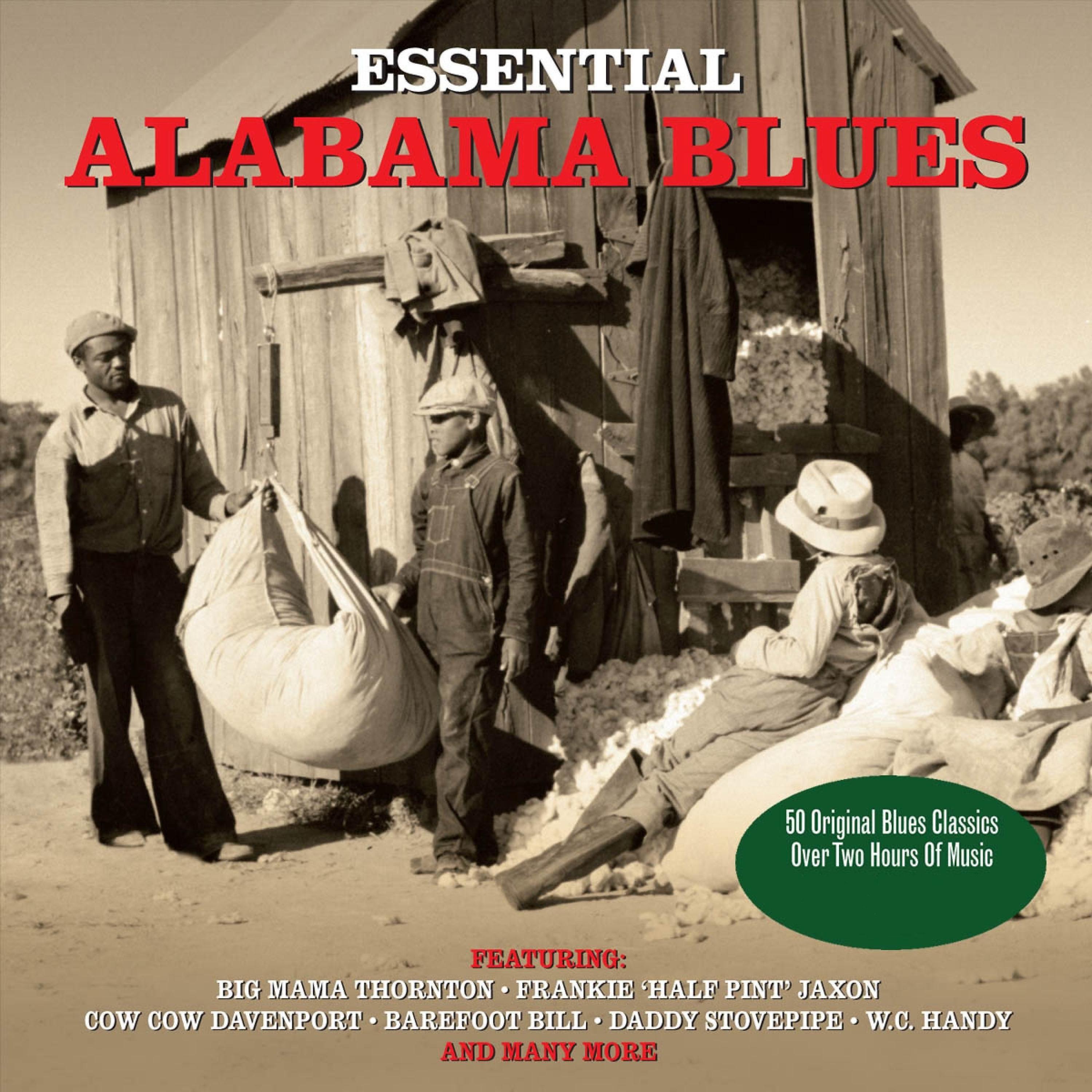 Постер альбома Essential Alabama Blues