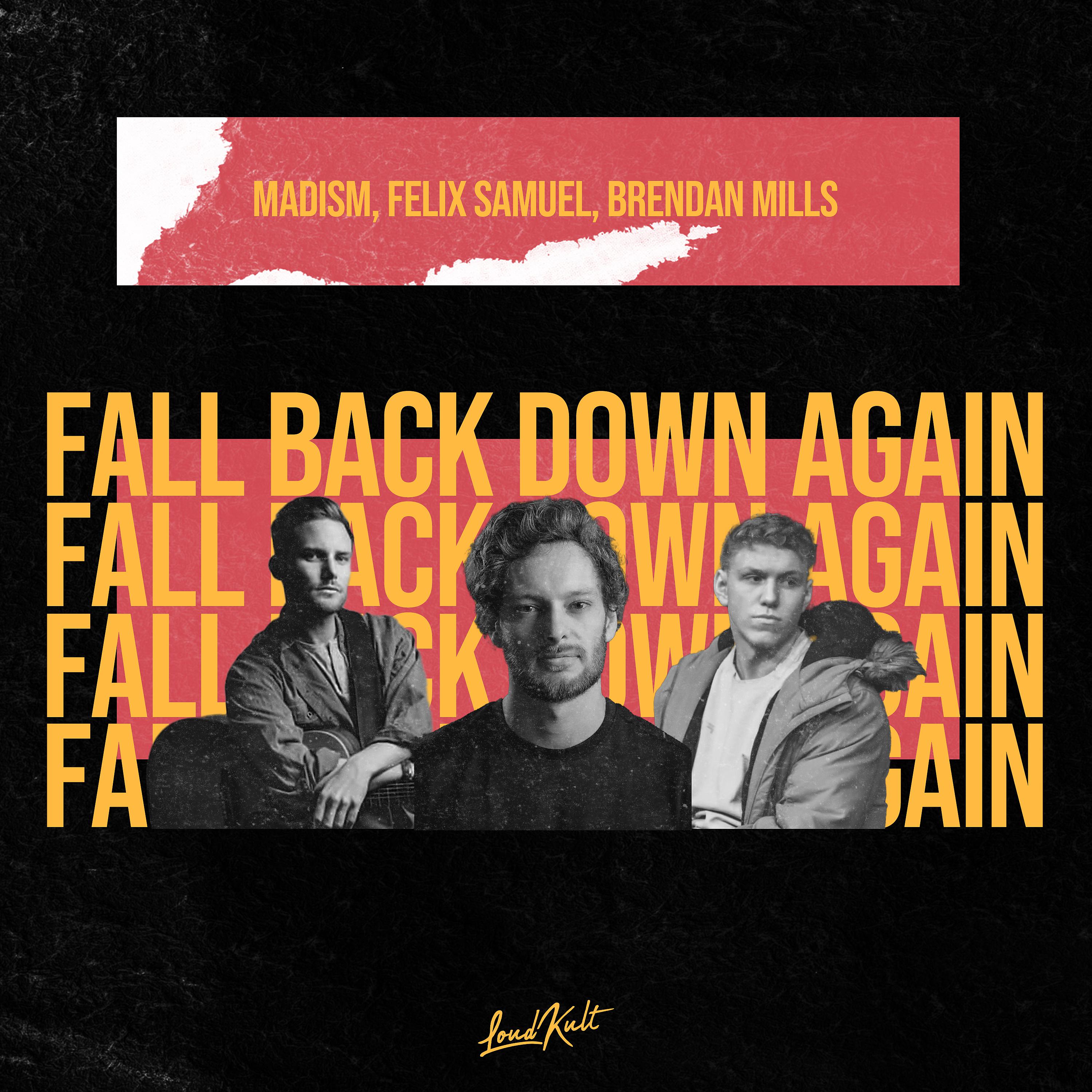Постер альбома Fall Back Down Again