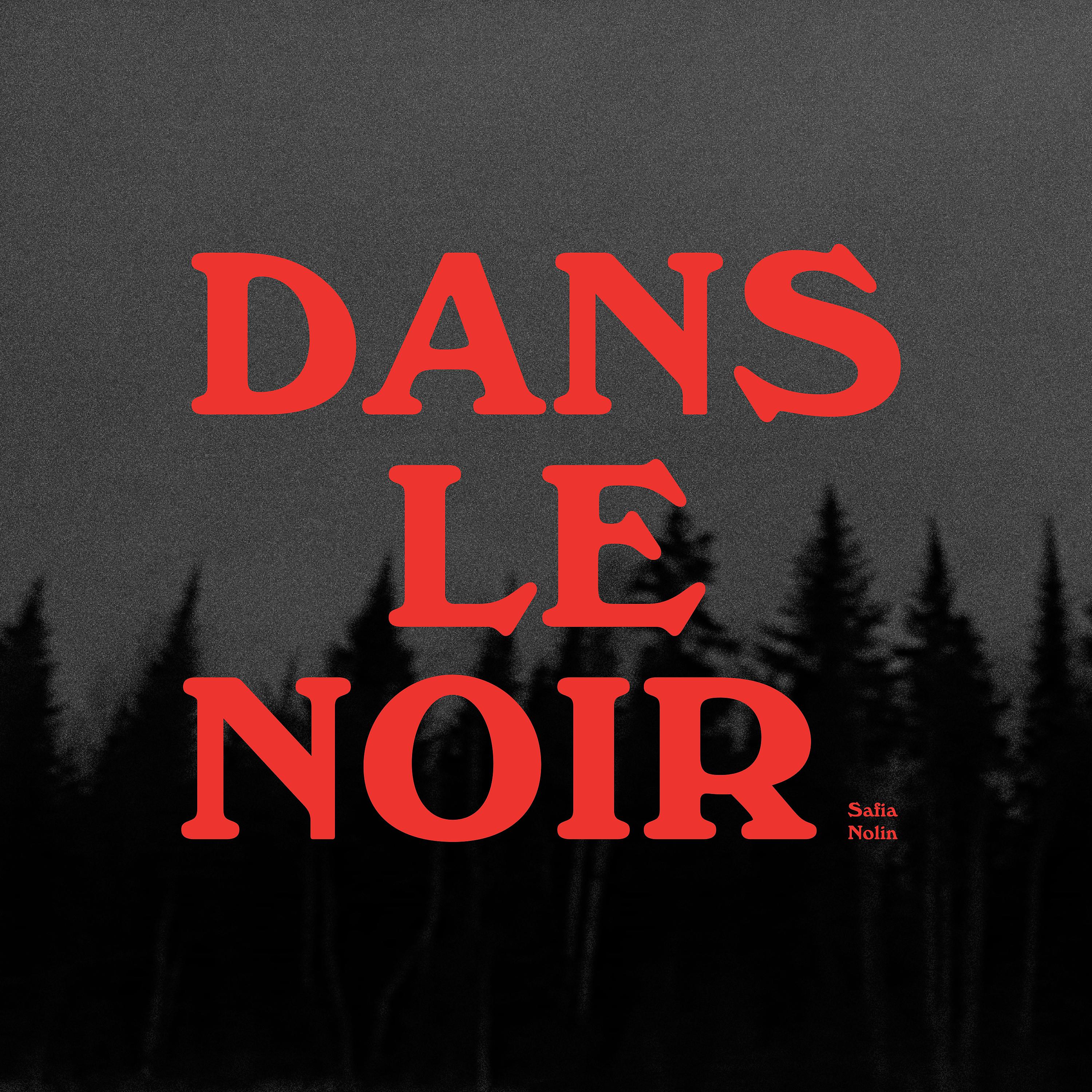 Постер альбома Dans le noir