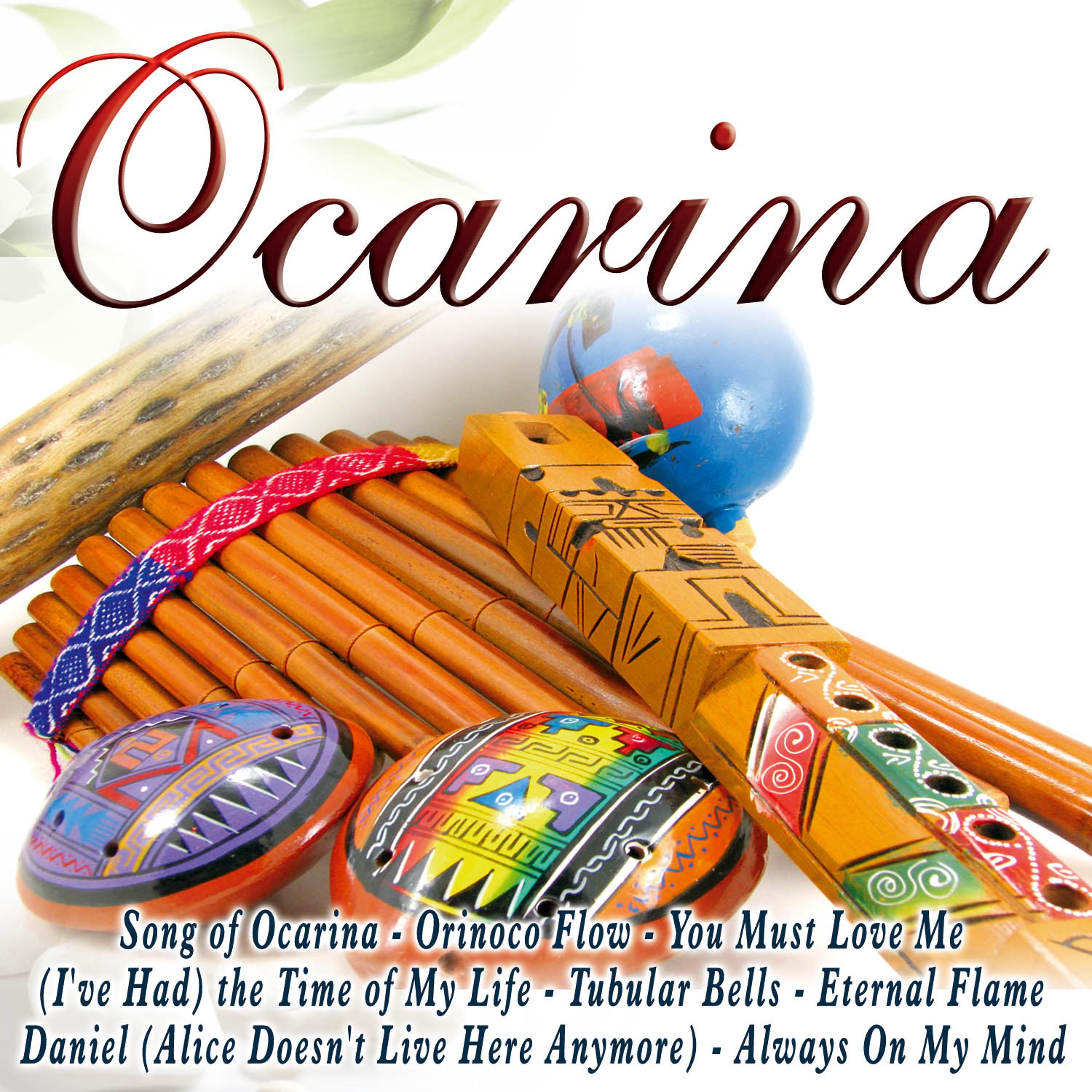 Постер альбома Ocarina