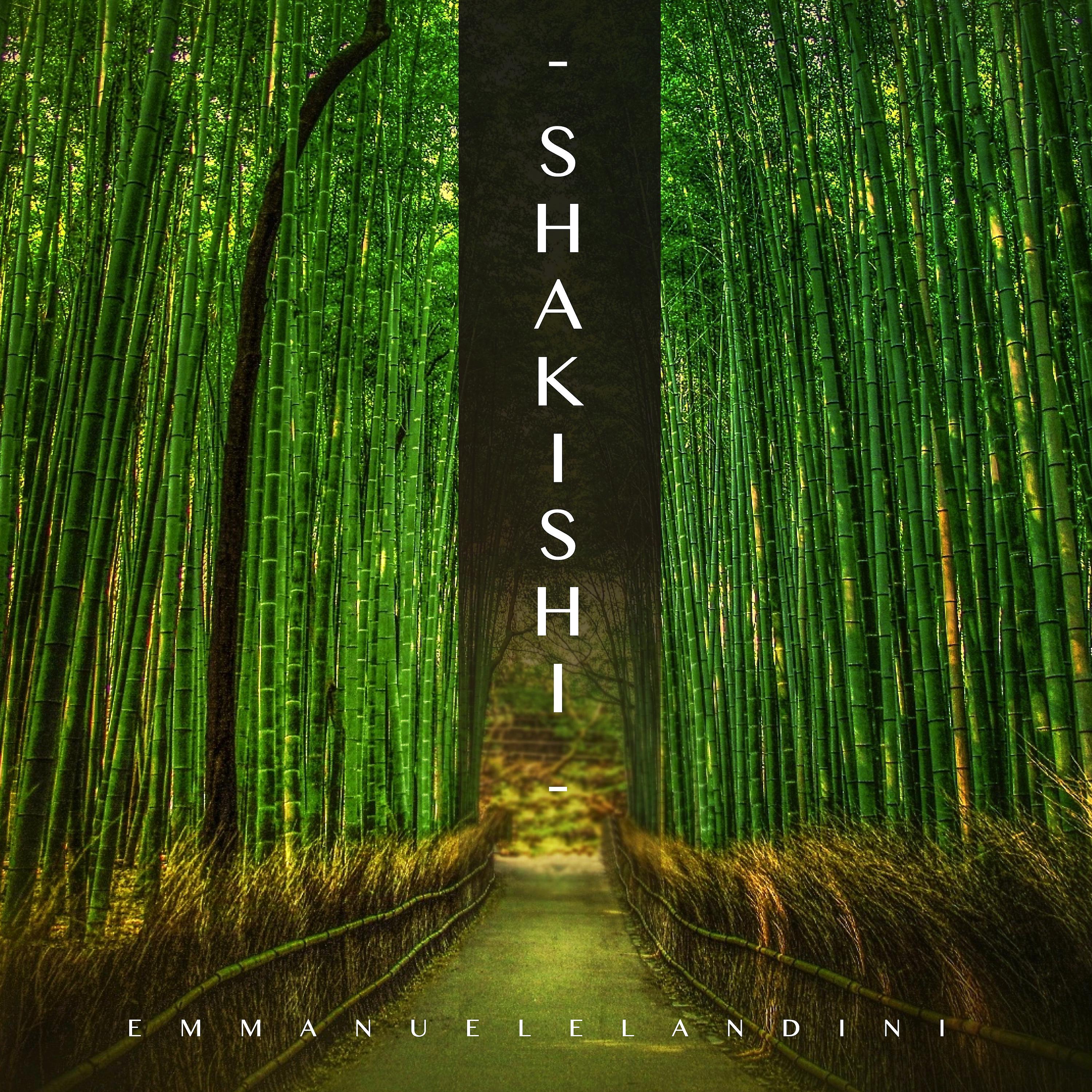 Постер альбома Shakishi (Remastered)