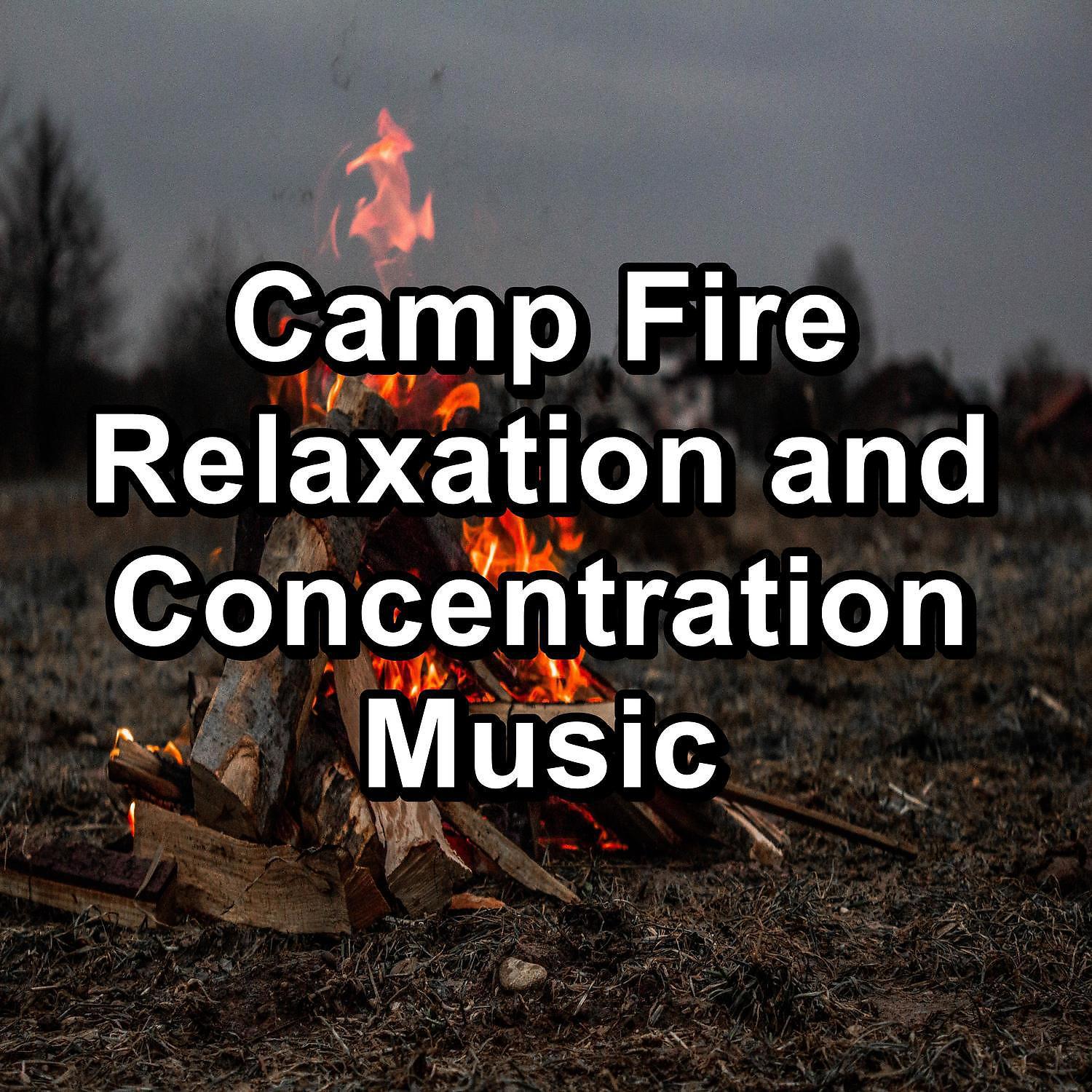 Постер альбома Camp Fire Relaxation and Concentration Music