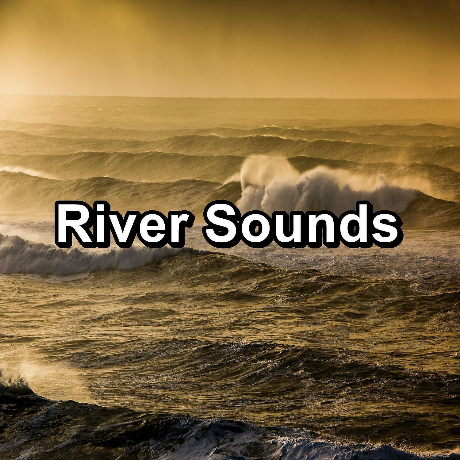 YOGA - Soothing Wave Sounds With Nature Sounds For Adult and Babies Sleep