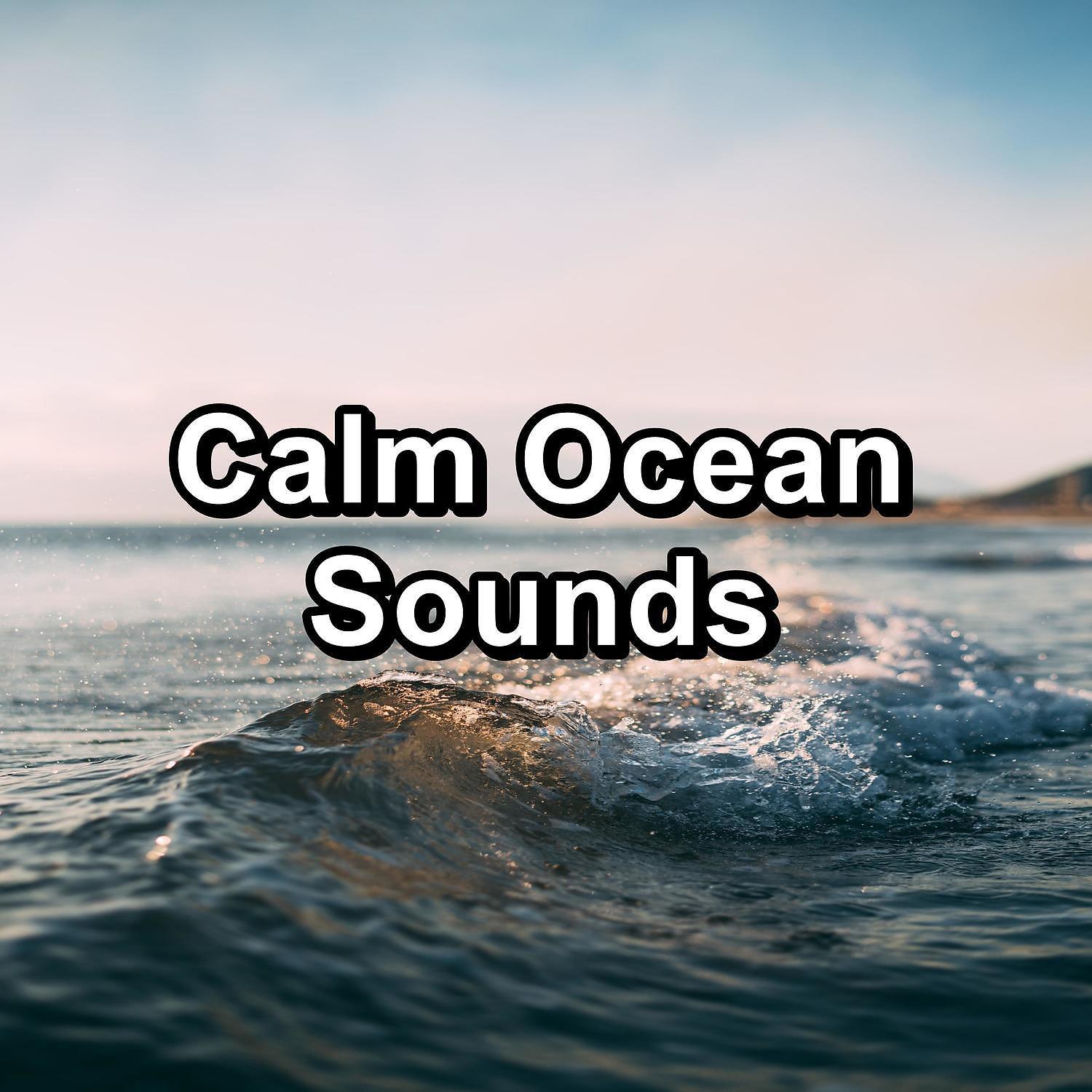 Постер альбома Calm Ocean Sounds