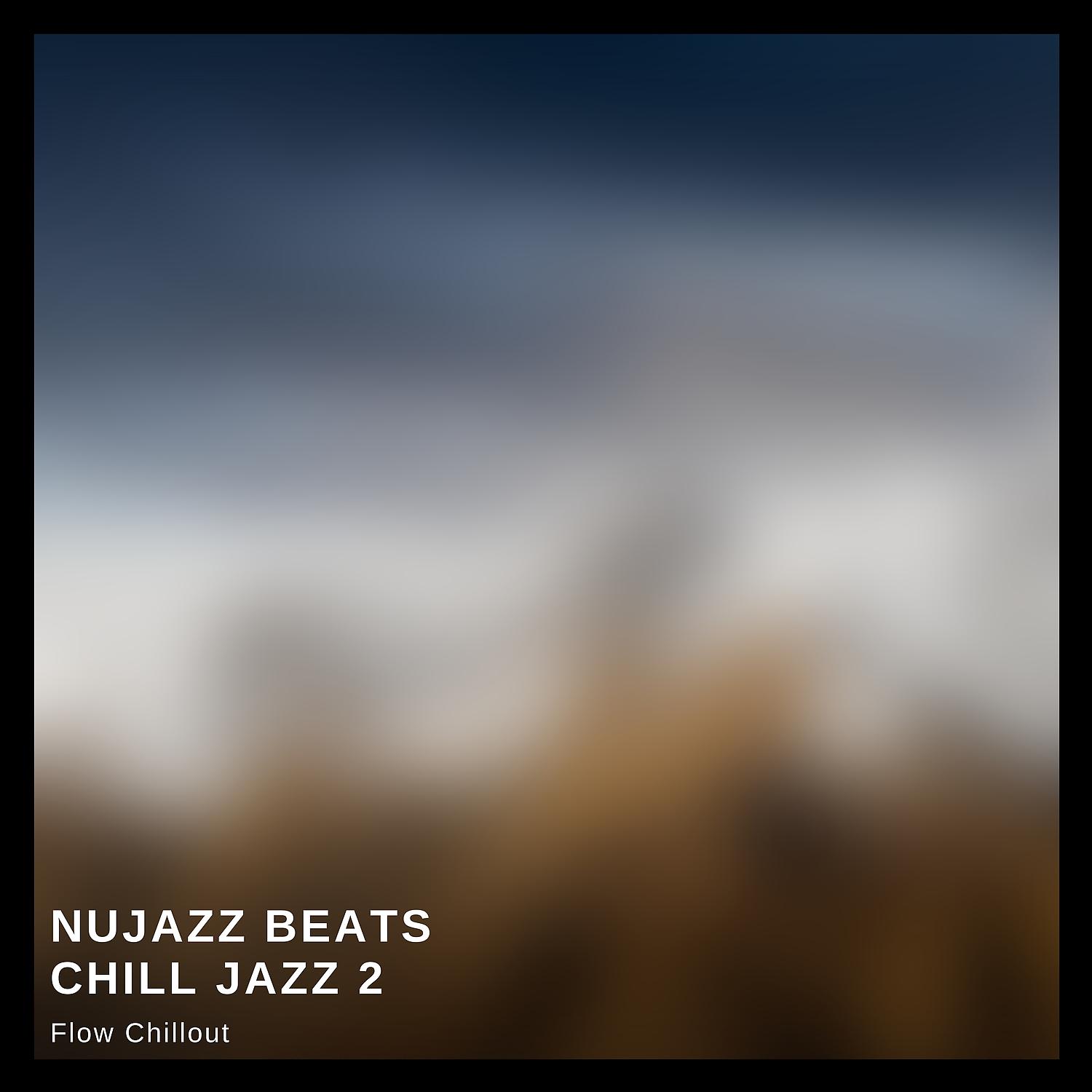 Постер альбома Nujazz Beats, Chill Jazz 2